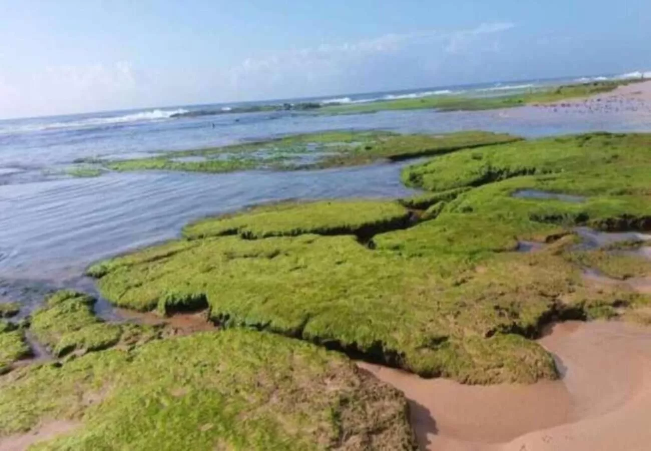 Sol de Bora Bora 101