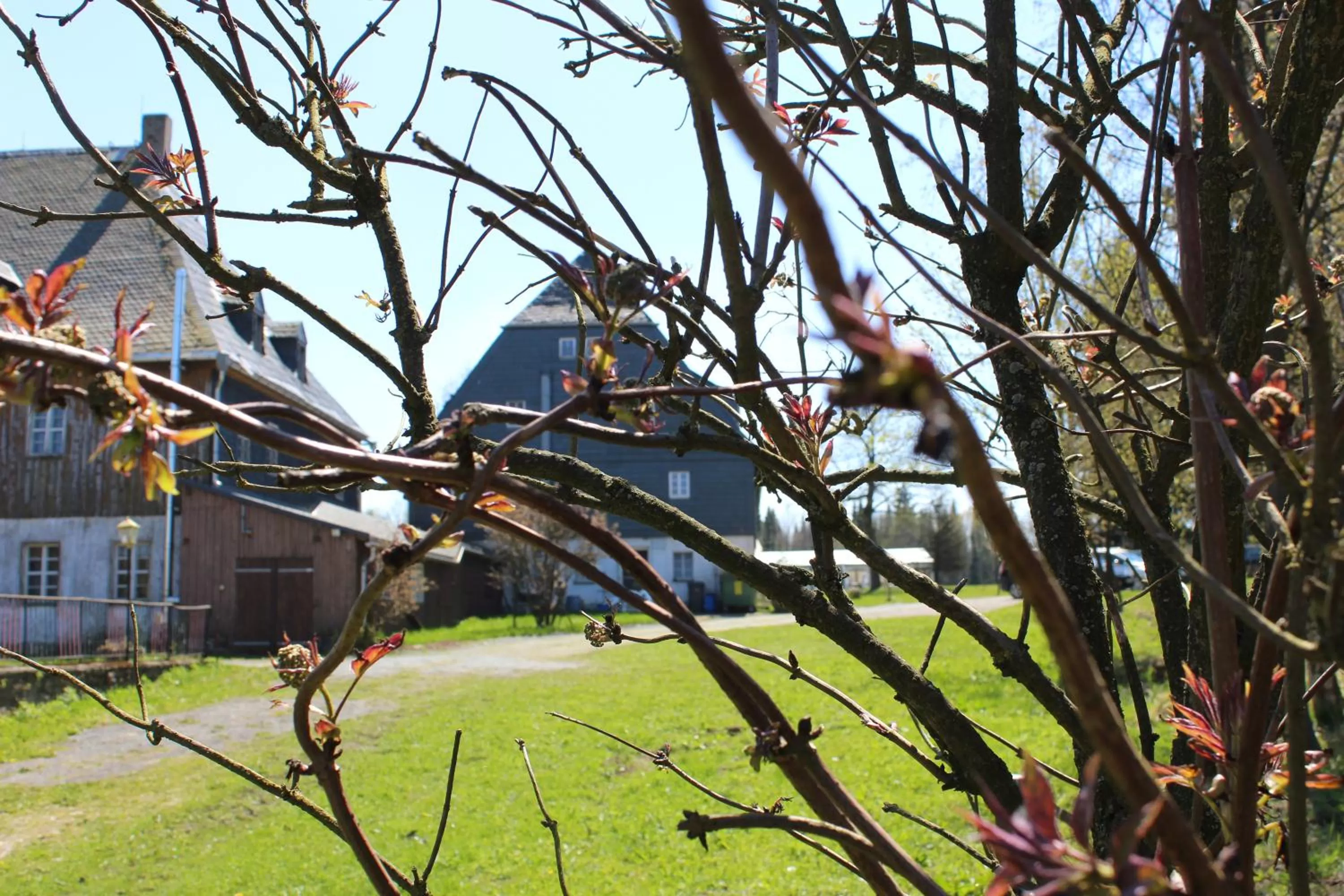 Spring in Waldgasthof Bad Einsiedel