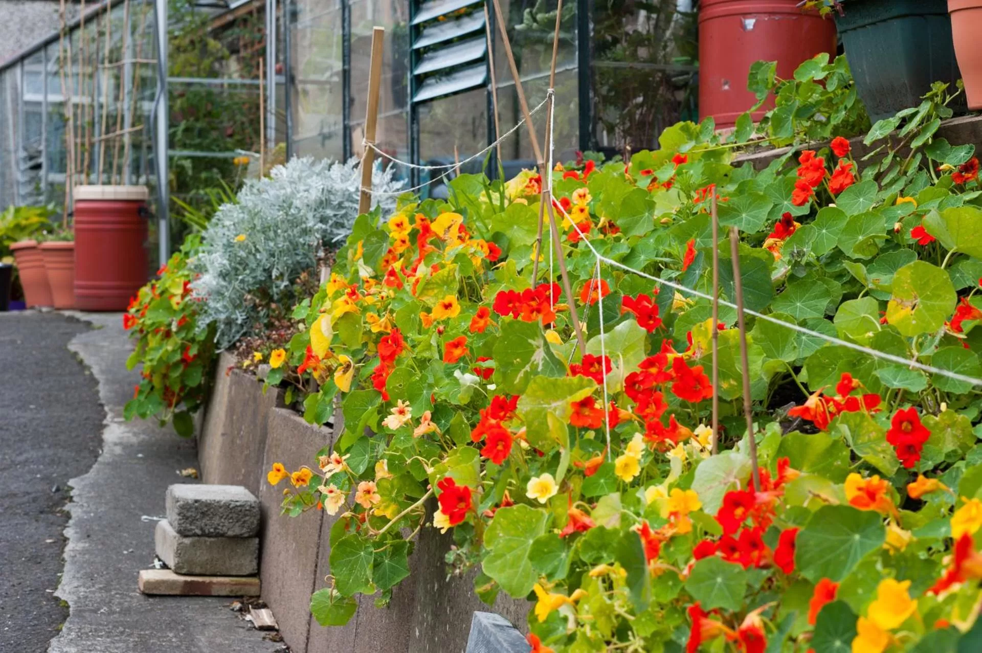 Dean Park Guest House