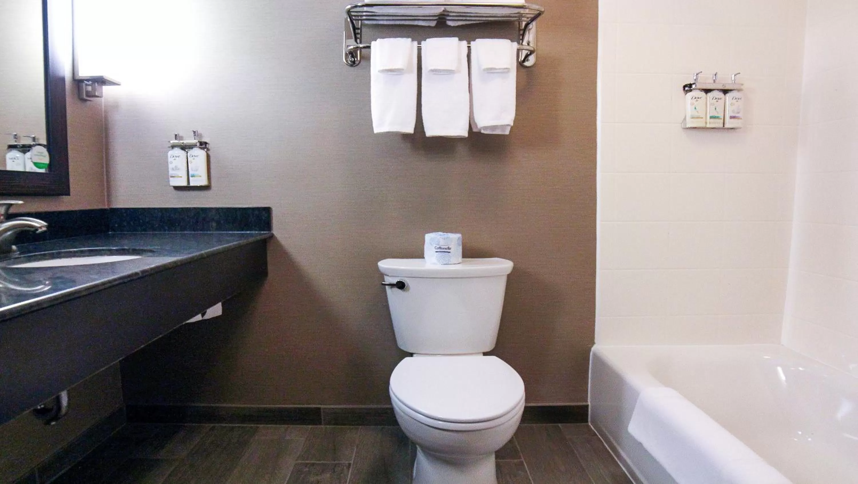 Bathroom in Holiday Inn Owensboro Riverfront by IHG