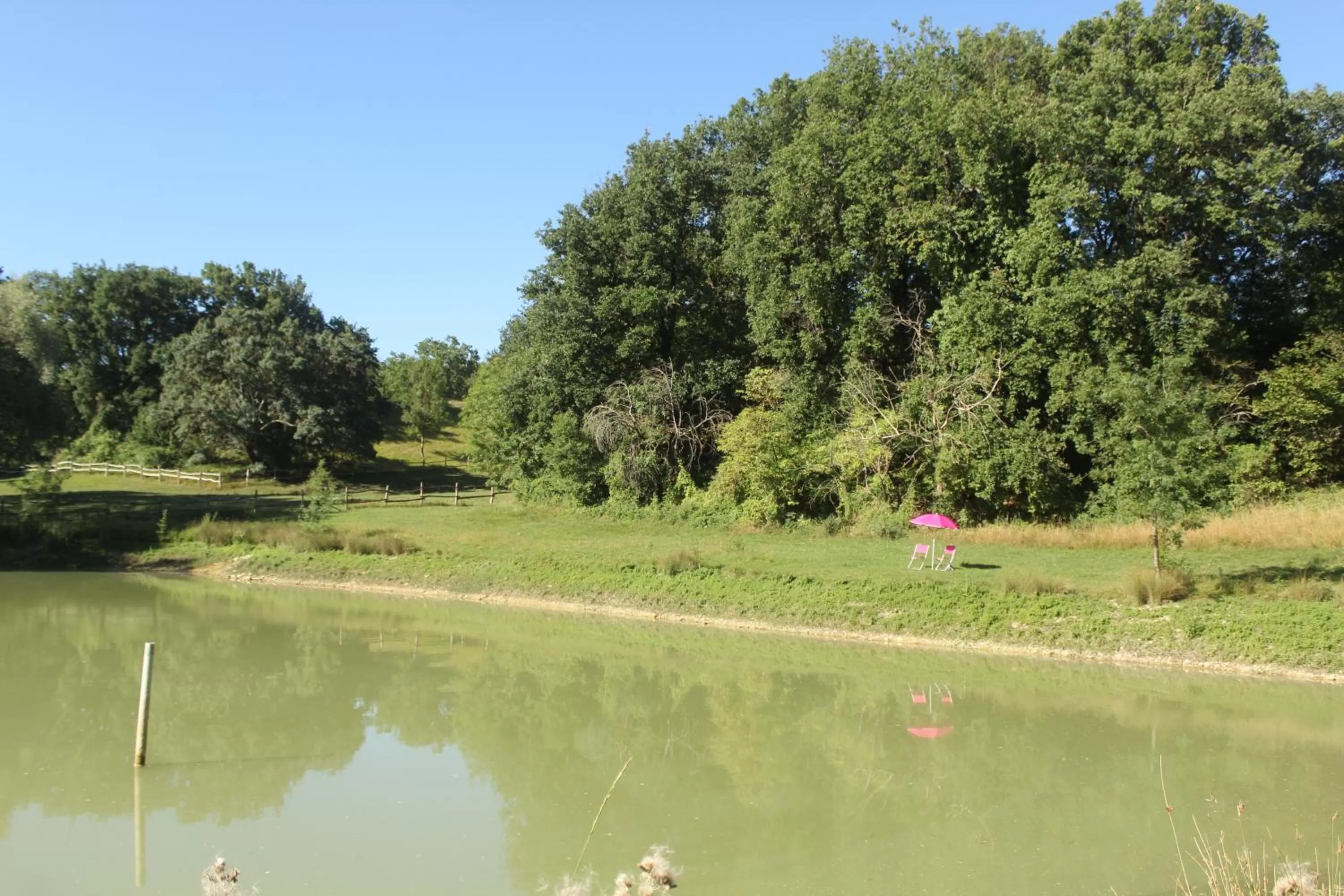 Domaine de la Couderquié