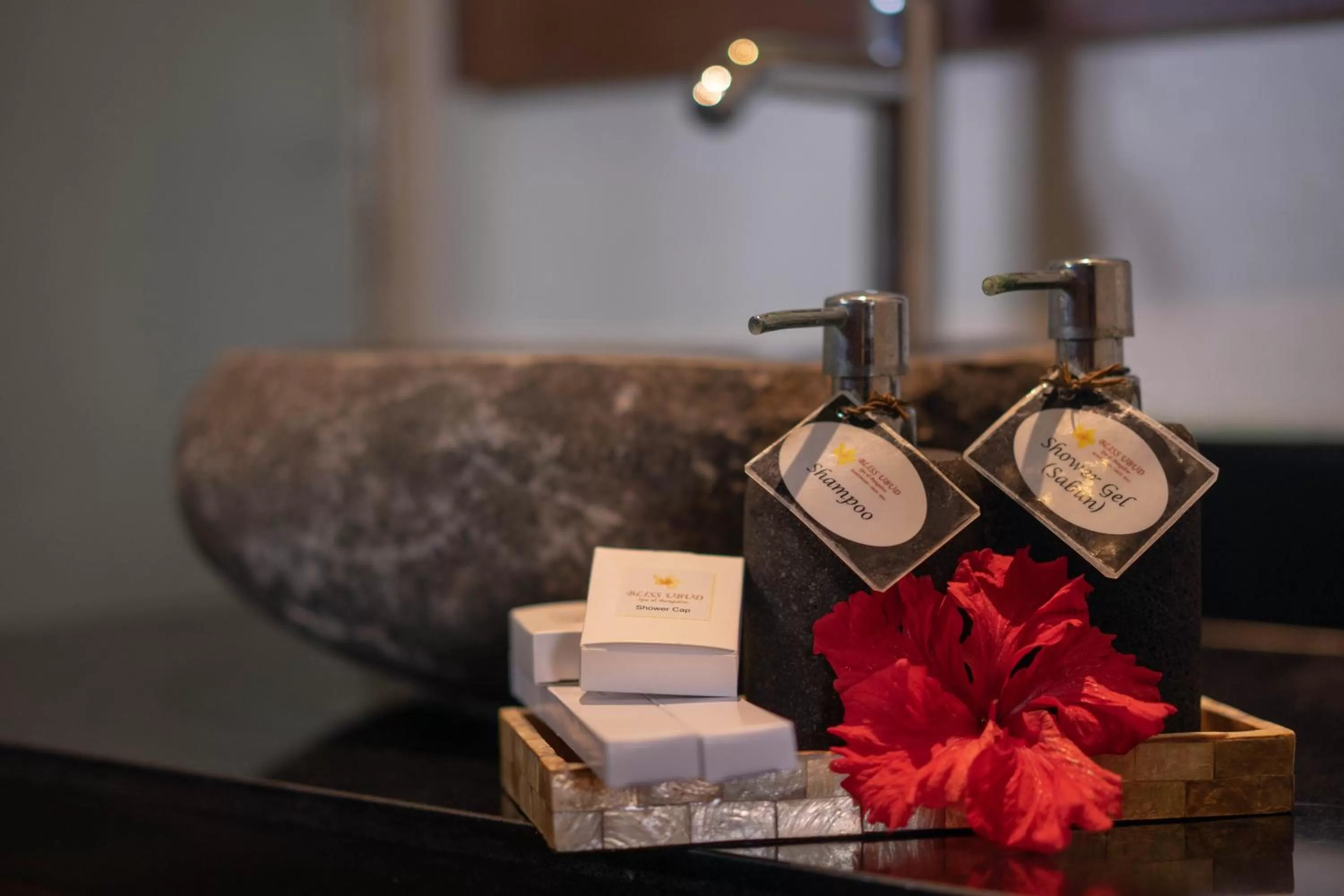 Area and facilities in Bliss Ubud Spa Resort