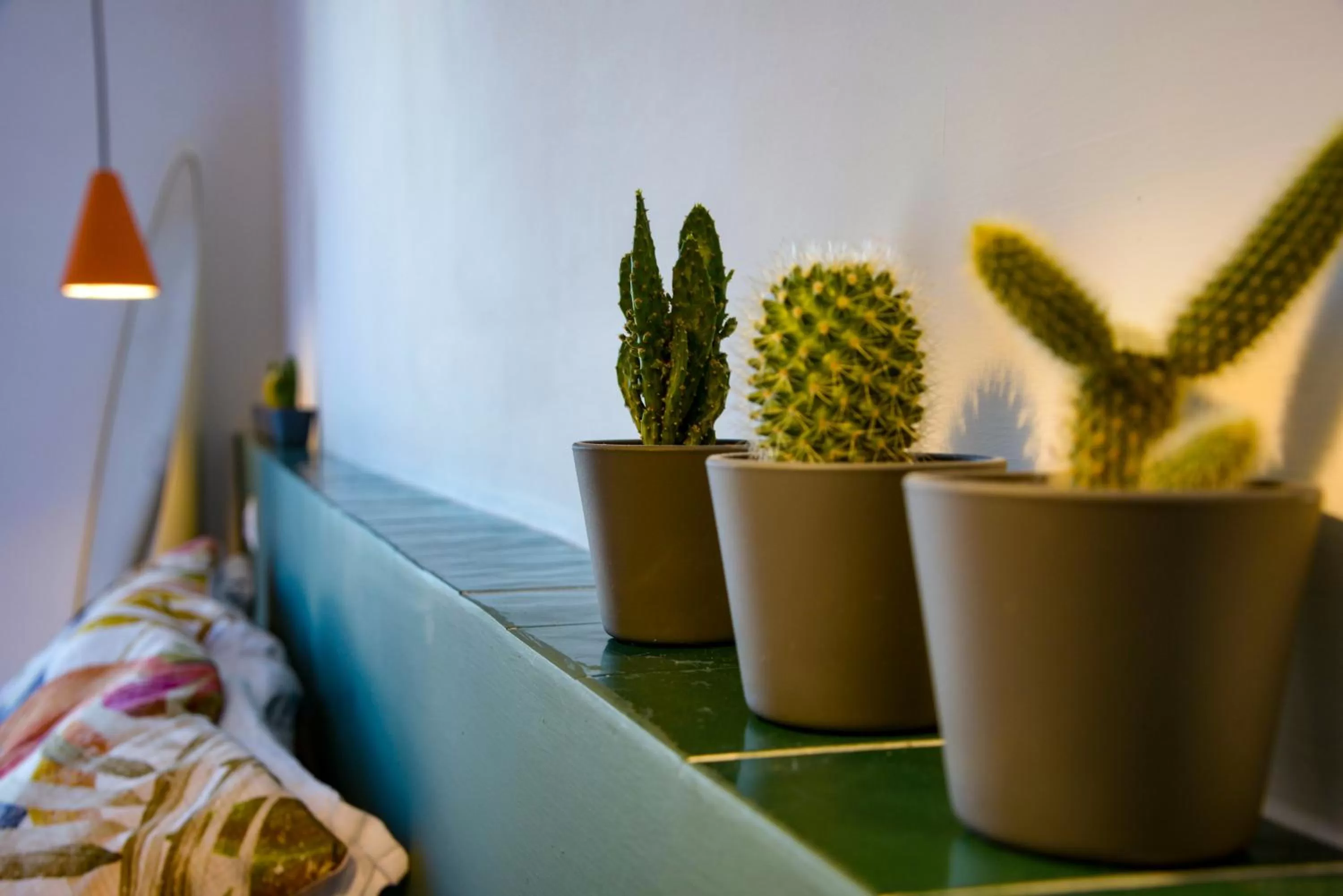 Photo of the whole room in B&B Toledo Panoramic Rooftop with terrace