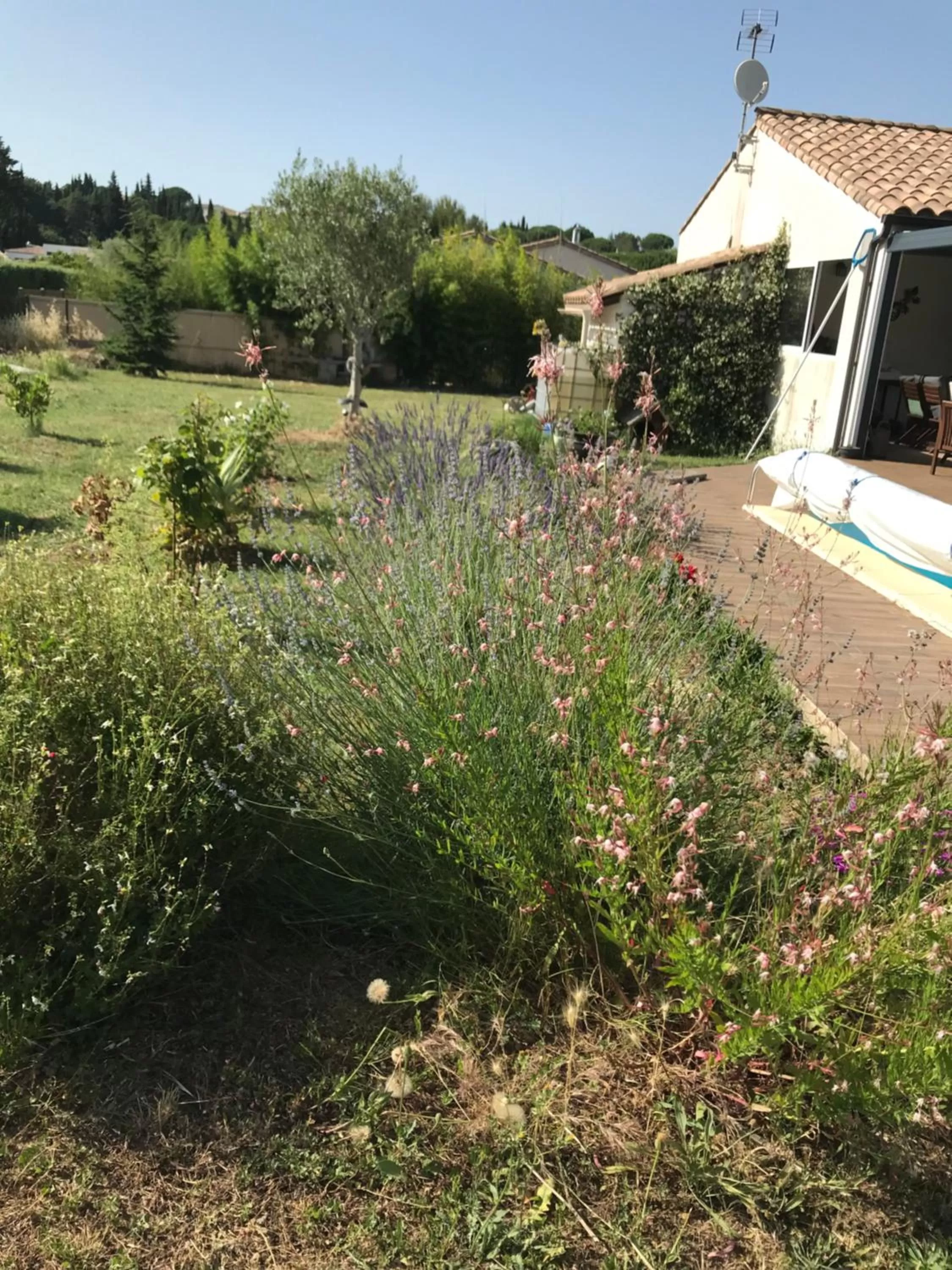 Garden in La Rosela de la Cité