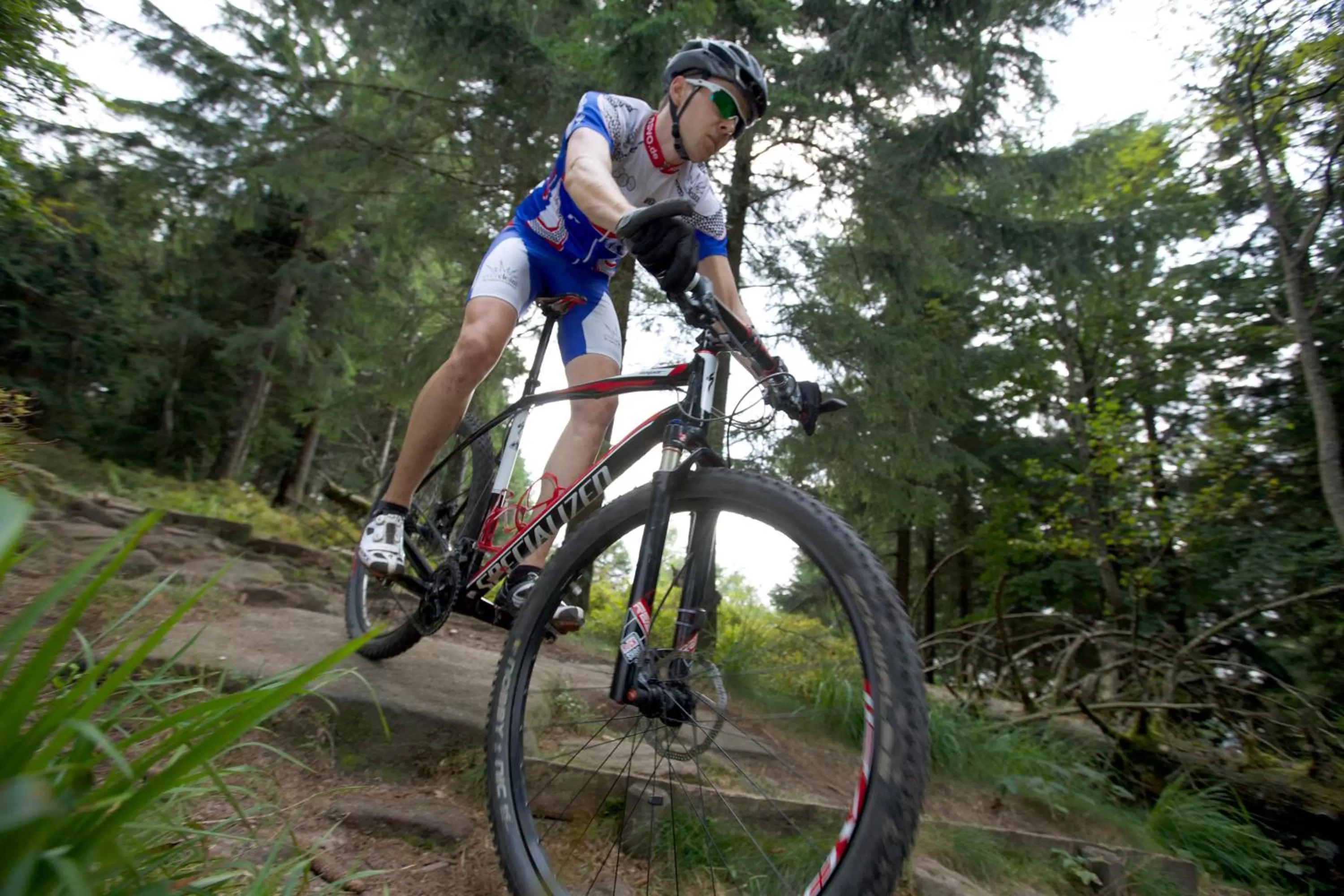 Cycling in Landgasthof Hotel Hirsch