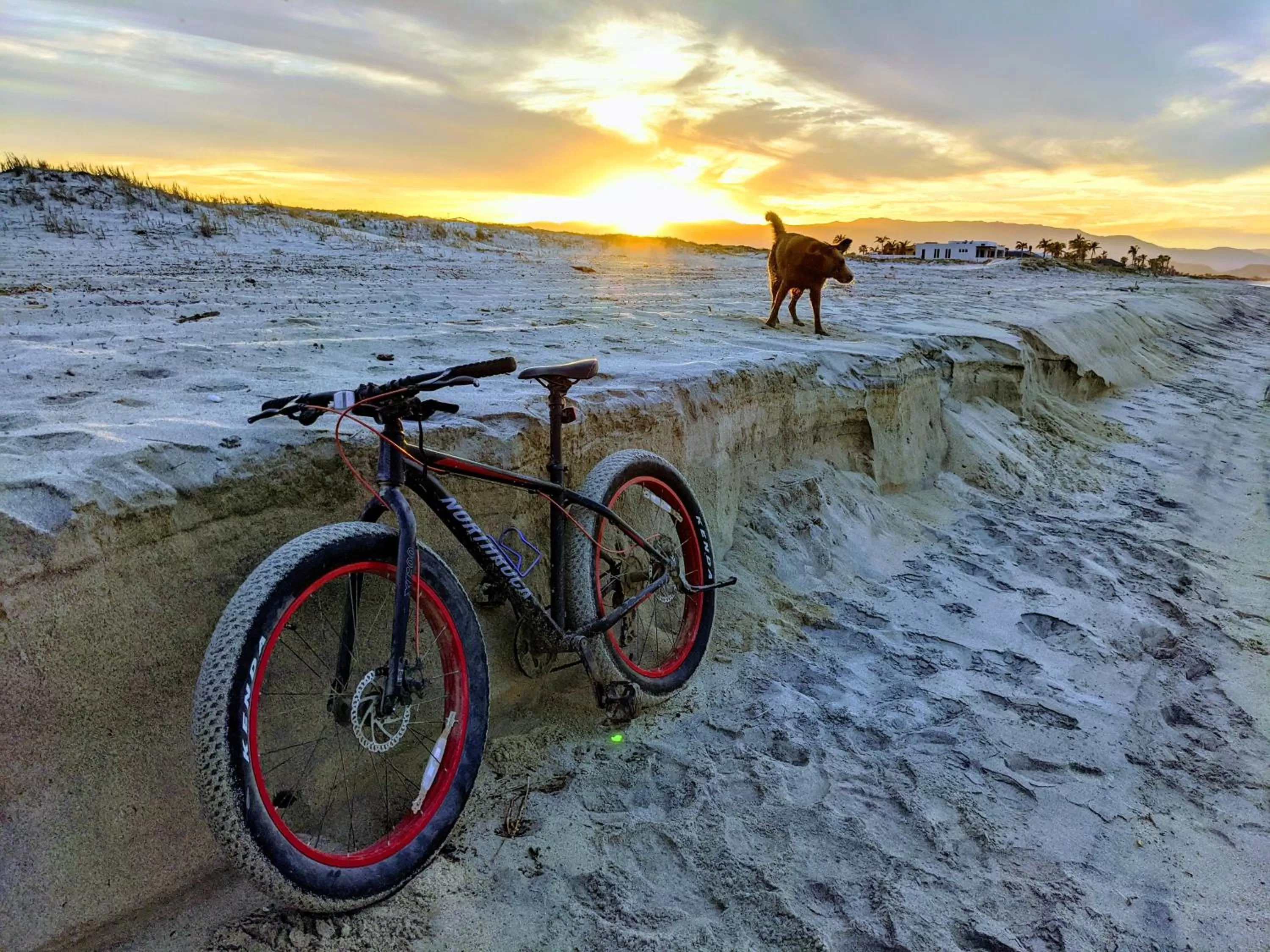 Natural landscape in Hacienda De Palmas