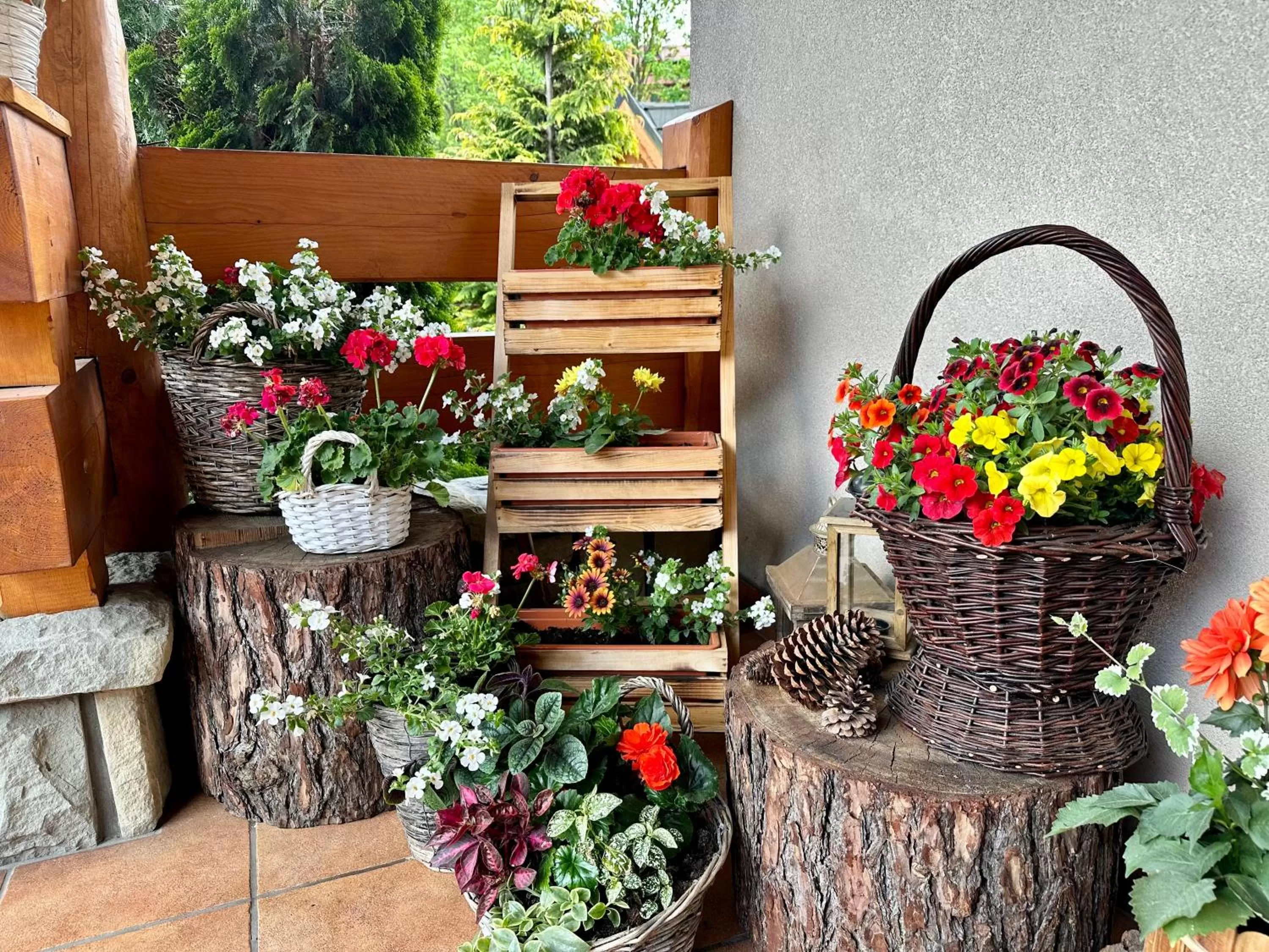 Leśny Dworek Zakopane