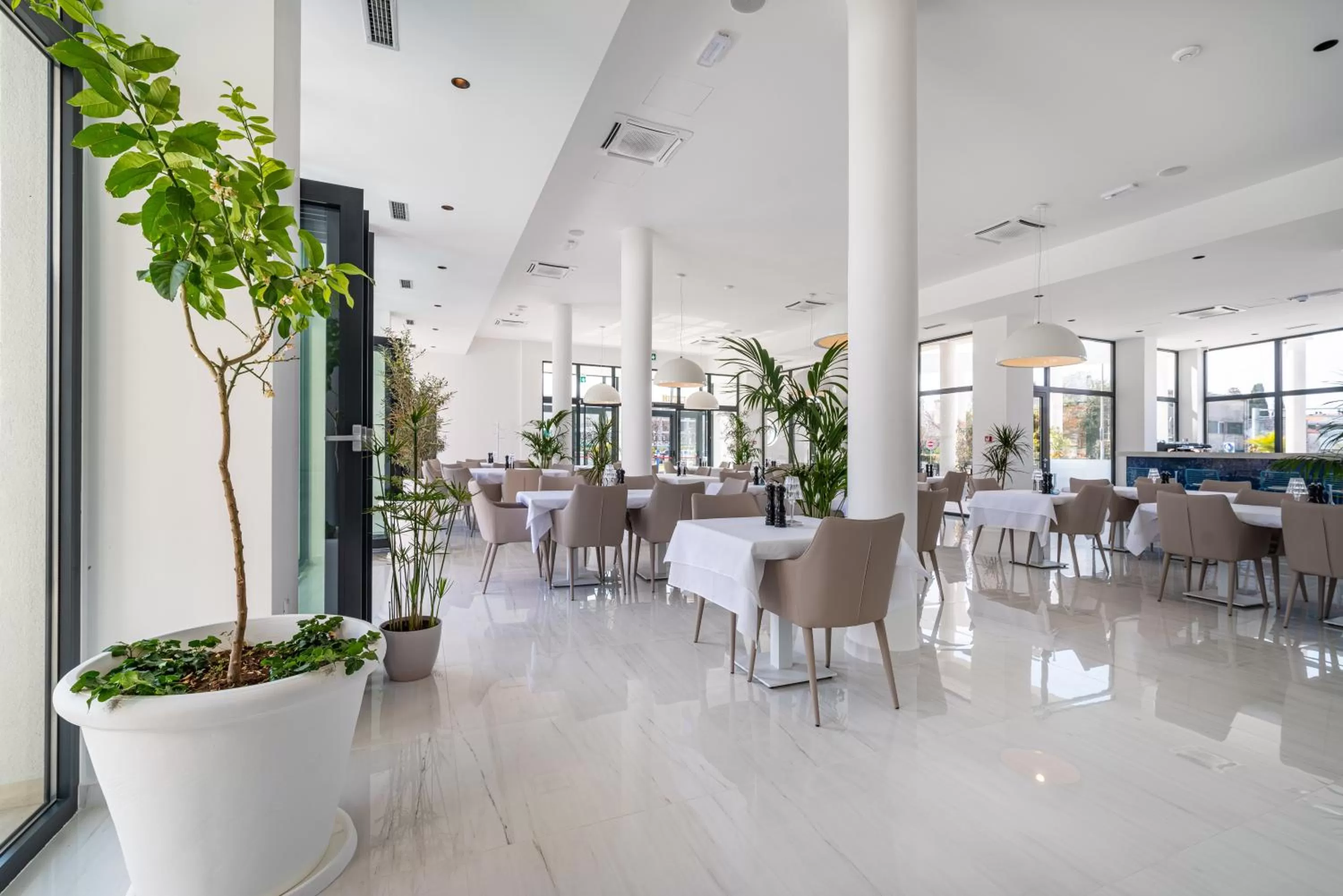 Restaurant/places to eat in Miramare Hotel