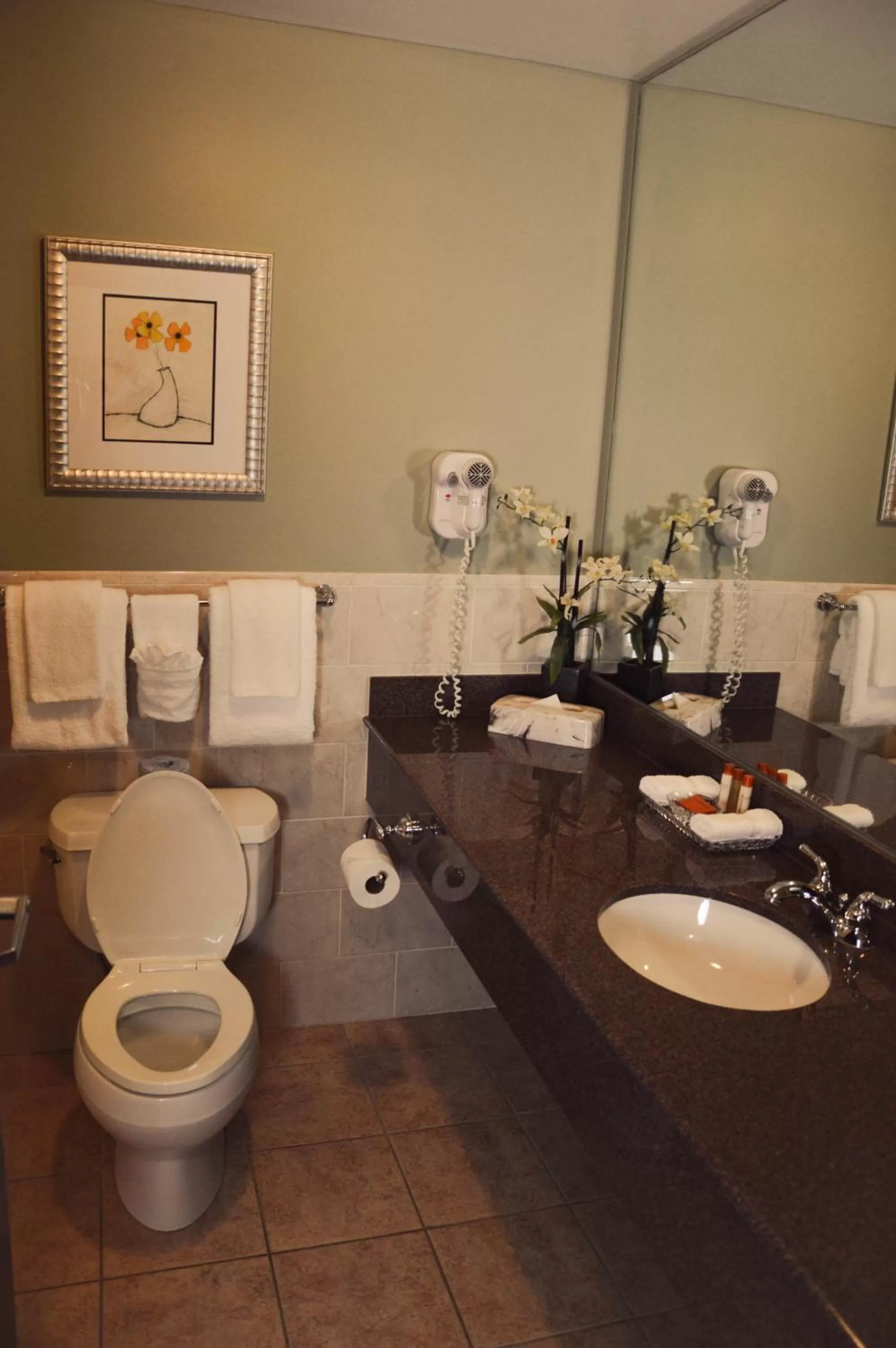 Shower in Belvedere Inn Schenectady - Albany