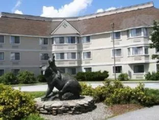 Queen Room with Tub - Disability Access/Non Smoking in Black Bear Inn