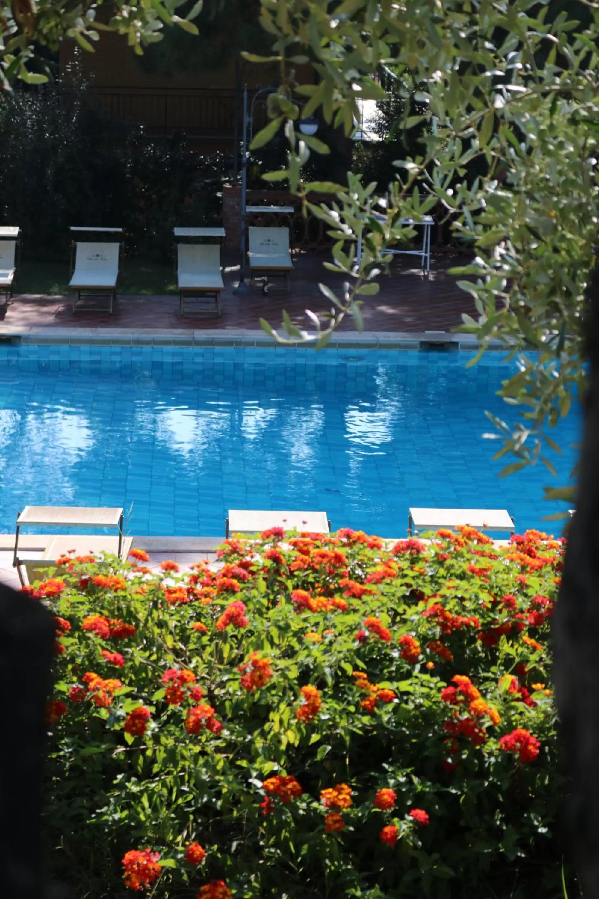 Garden in Villa delle Palme