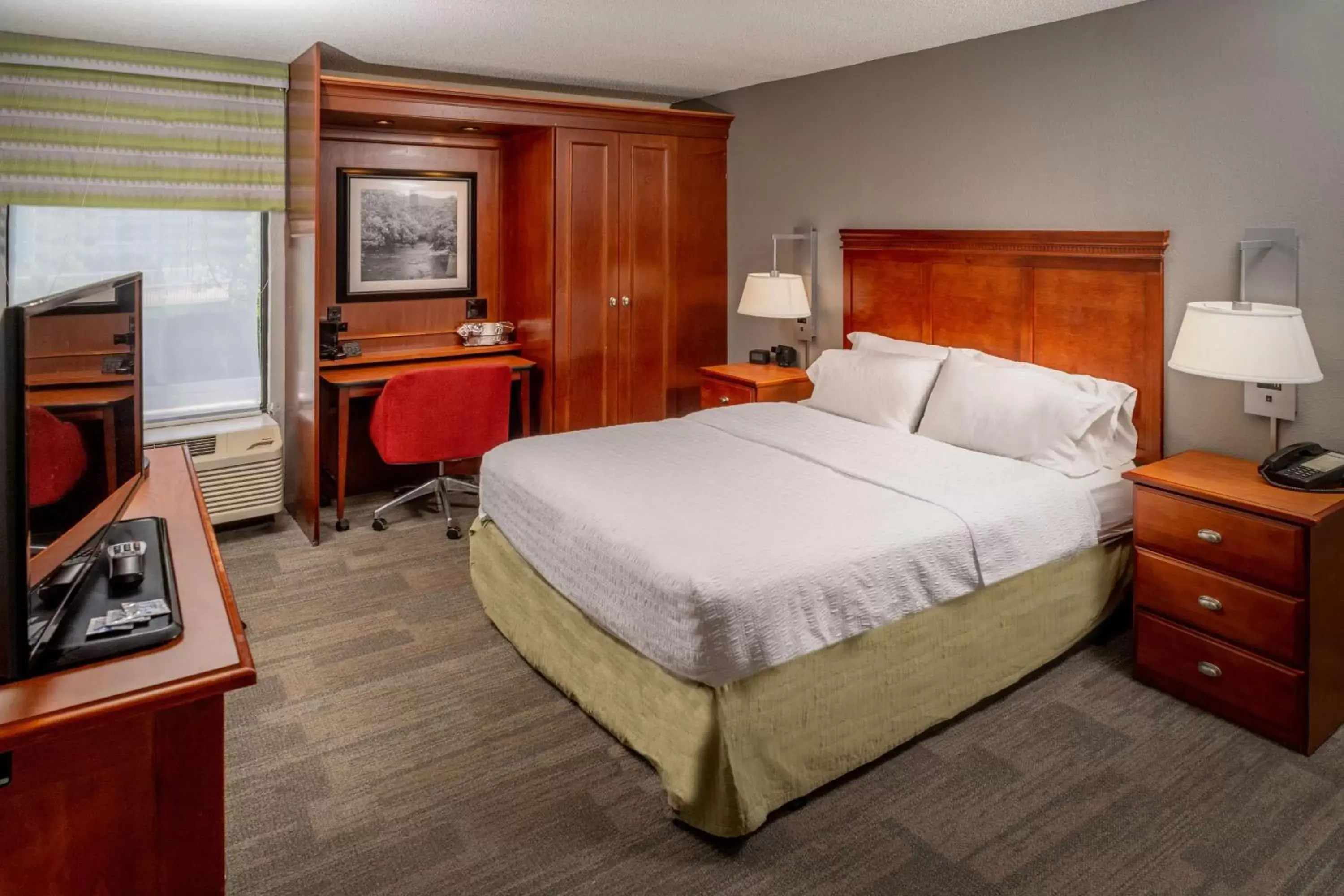 Queen Room with Mobility Access/Non-Smoking in Hampton Inn Charleston Downtown Queen Room with Mobility Access/Non-Smoking in Hampton Inn Charleston Downtown