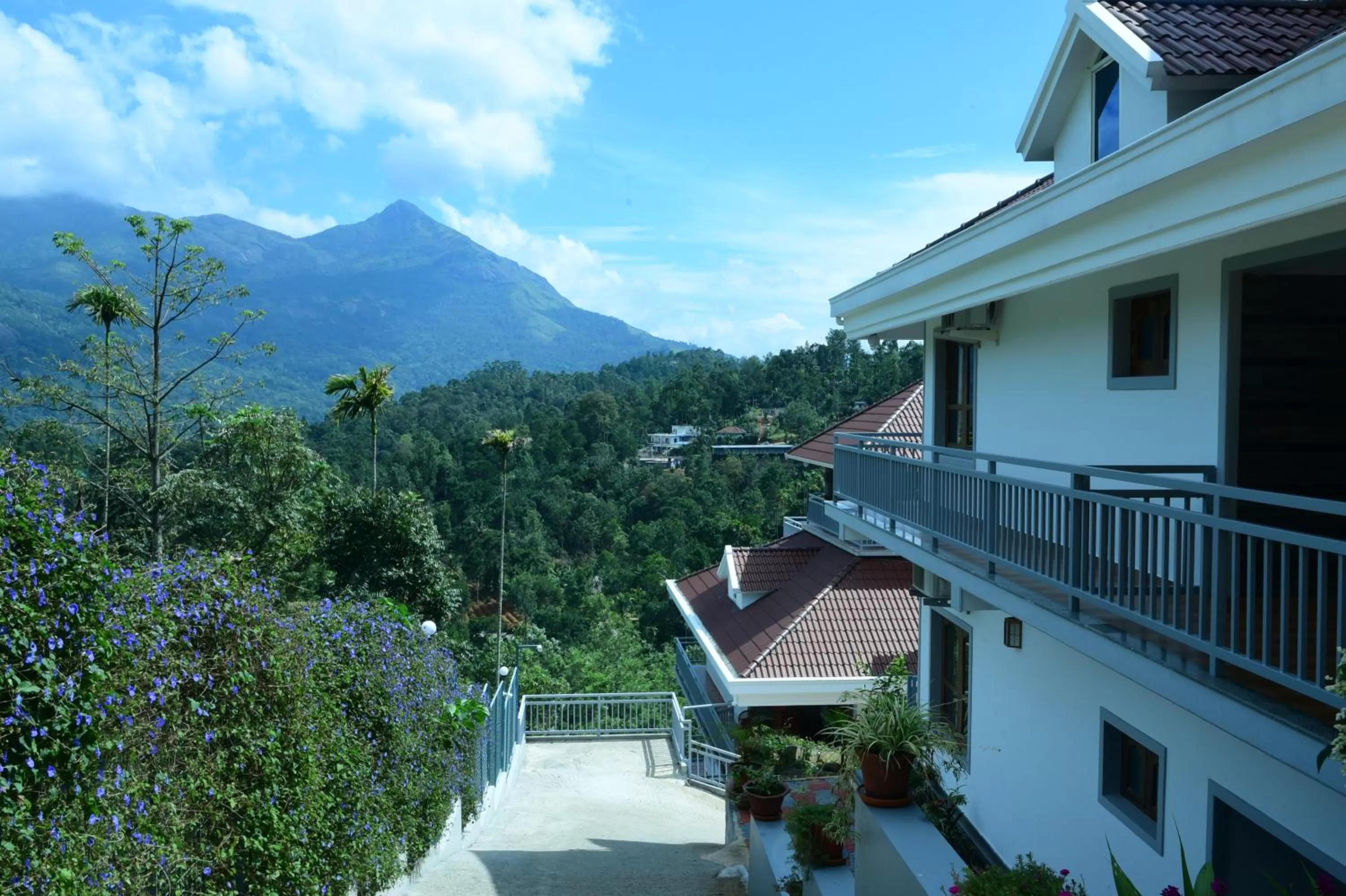 Street view, Mountain View in Zenha Resorts