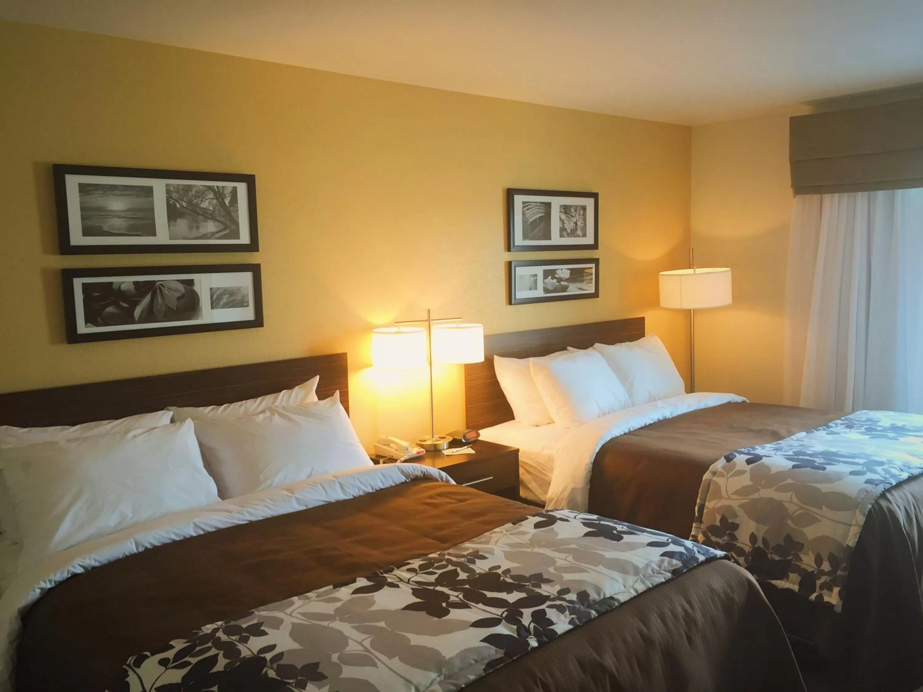 Bedroom, Bed in Sleep Inn & Suites Carlsbad Caverns Area