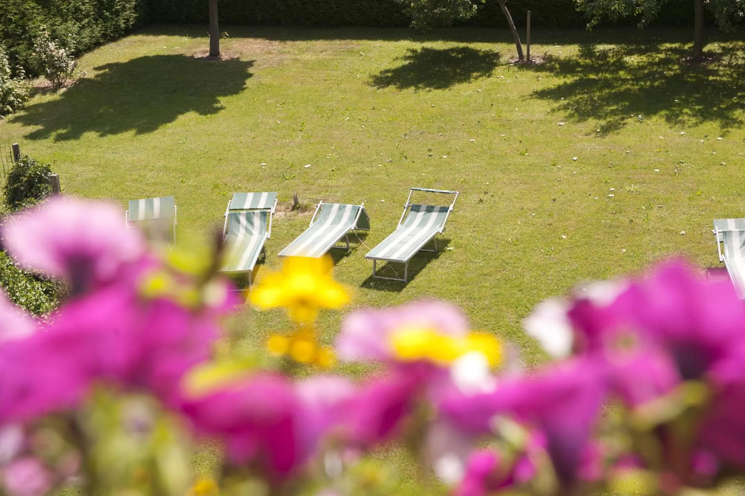 Garden in Alpenhotel Tirolerhof