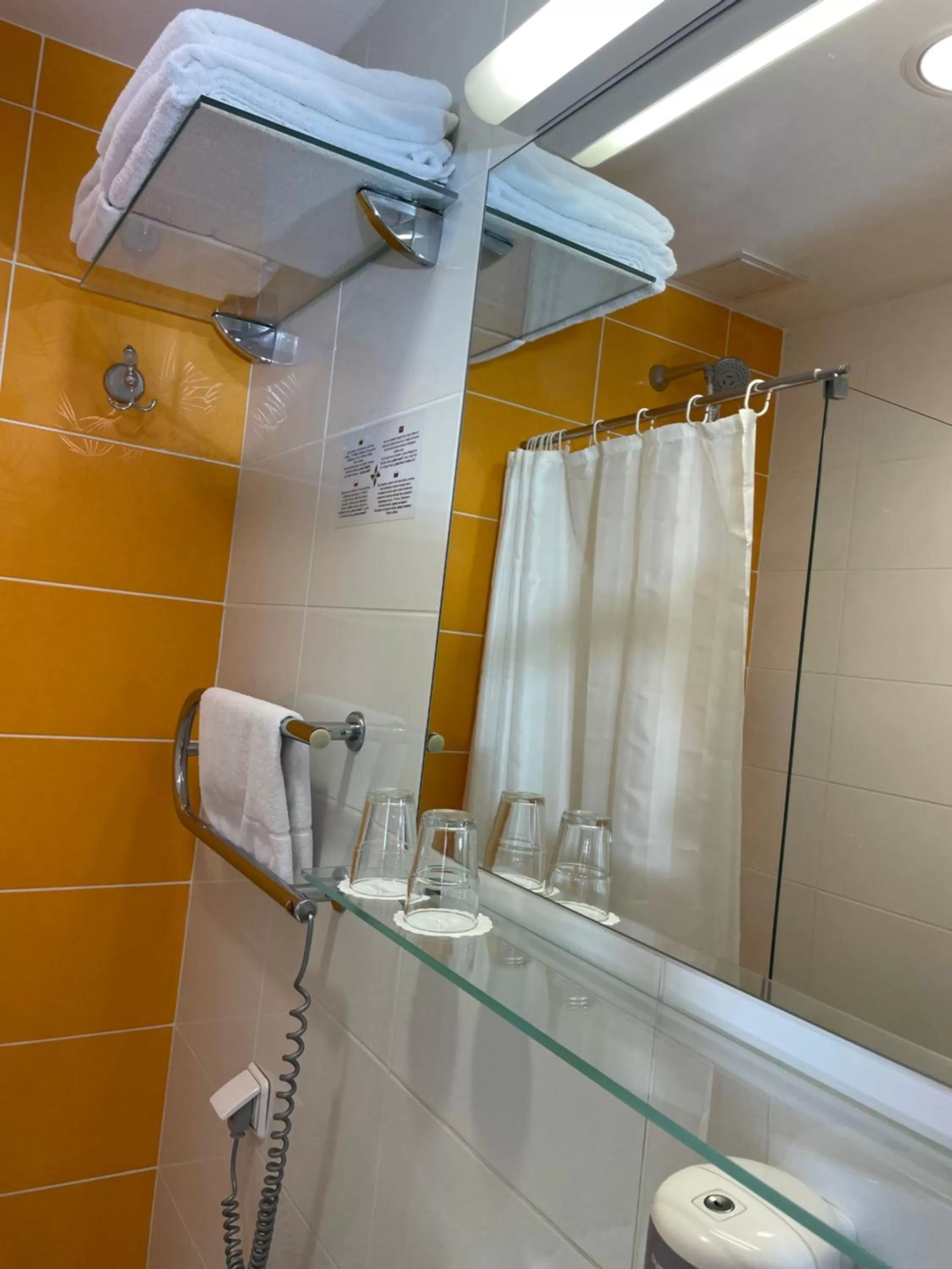 Shower in Green Vilnius Hotel
