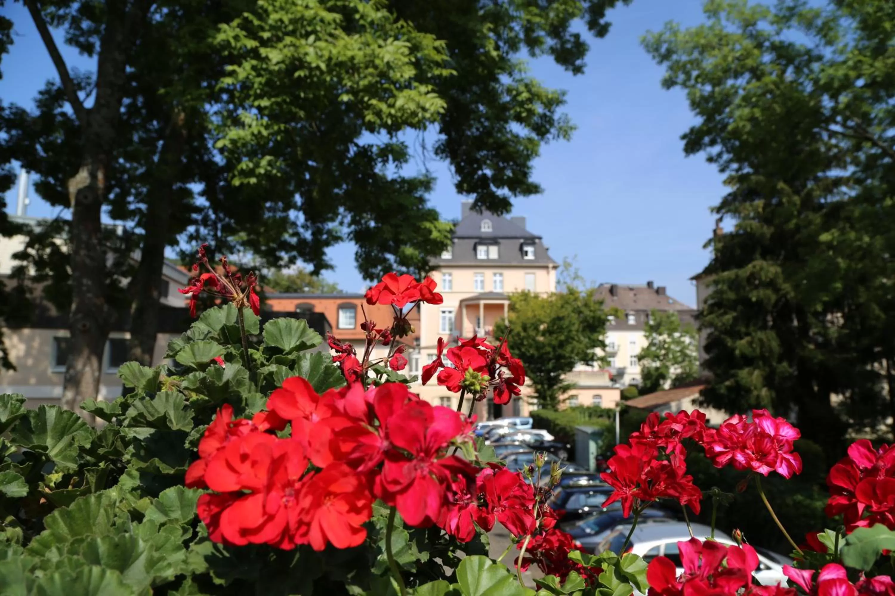 Garden in Villa Thea Hotel am Rosengarten