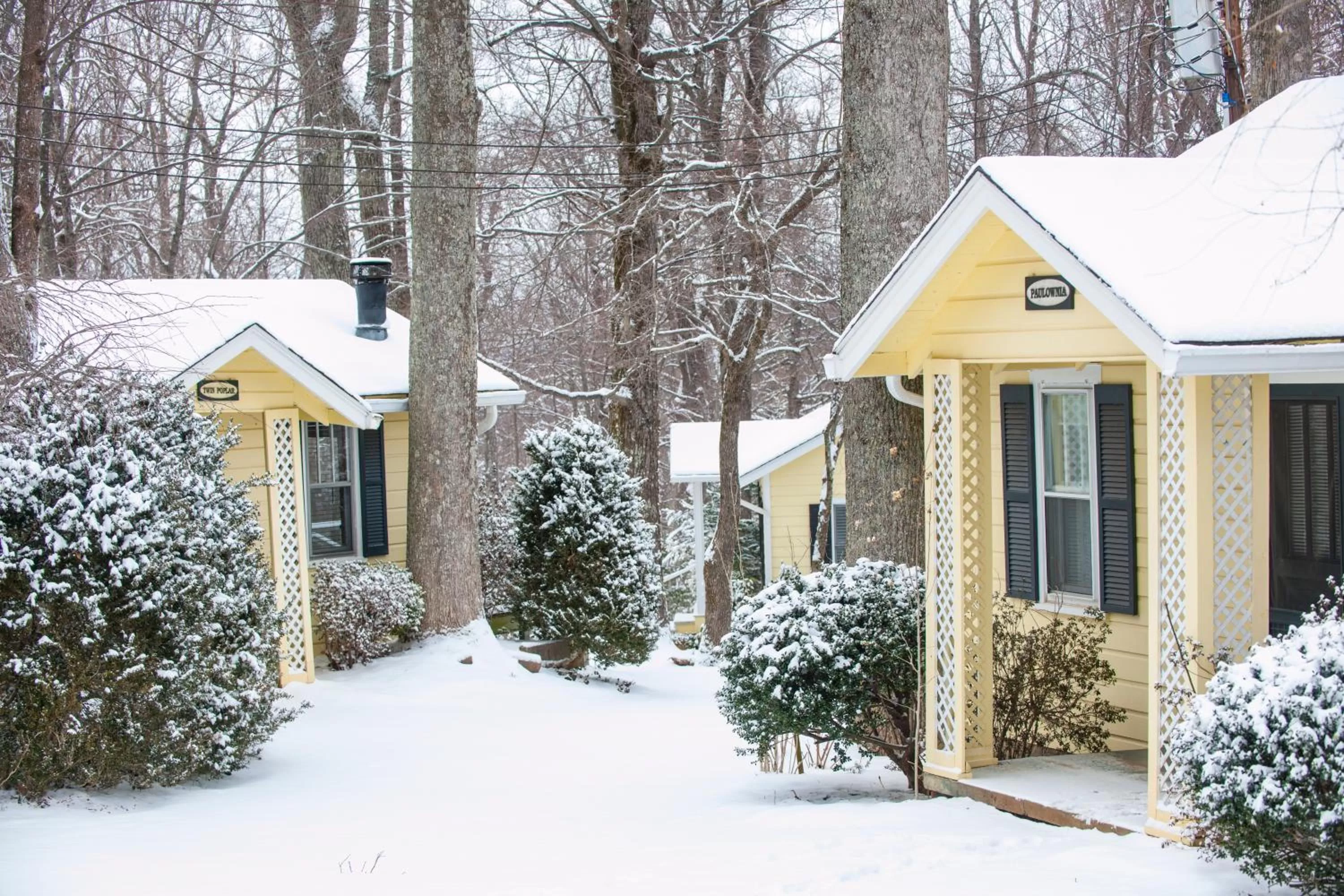 Winter in Orchard Inn