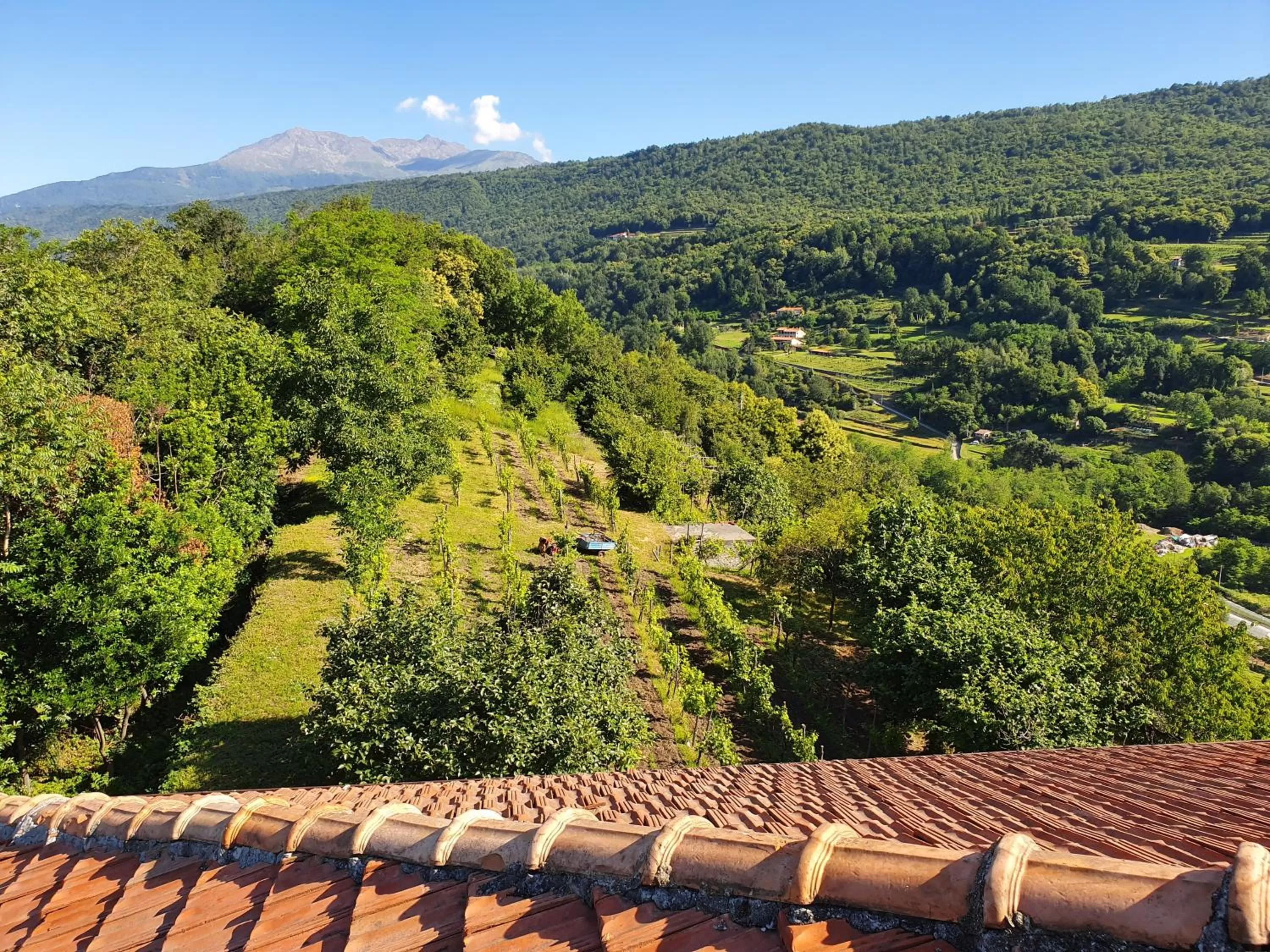 Natural landscape in b&b Antiche Pietre