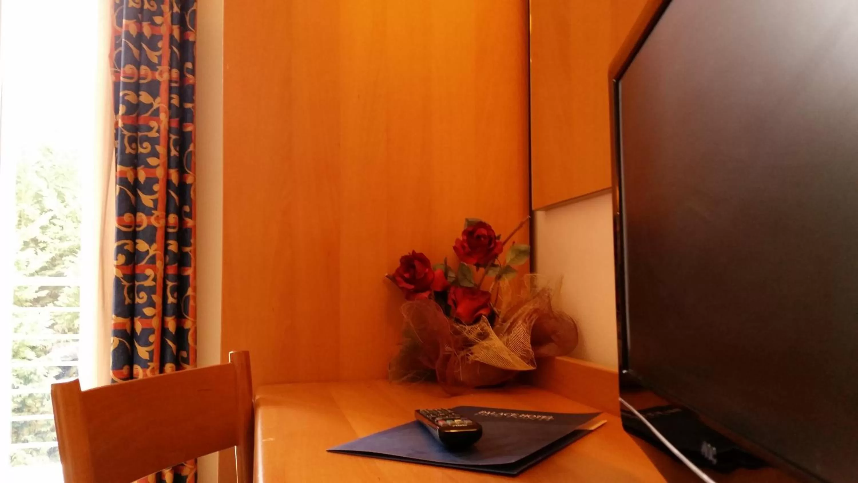 TV and multimedia in Palace Hotel Due Ponti