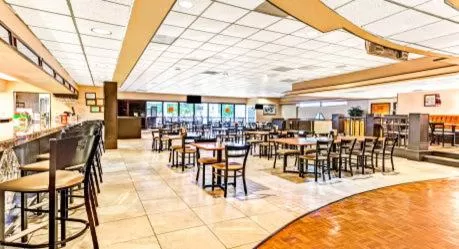 Lounge or bar in Wyndham Garden Detroit Metro Airport