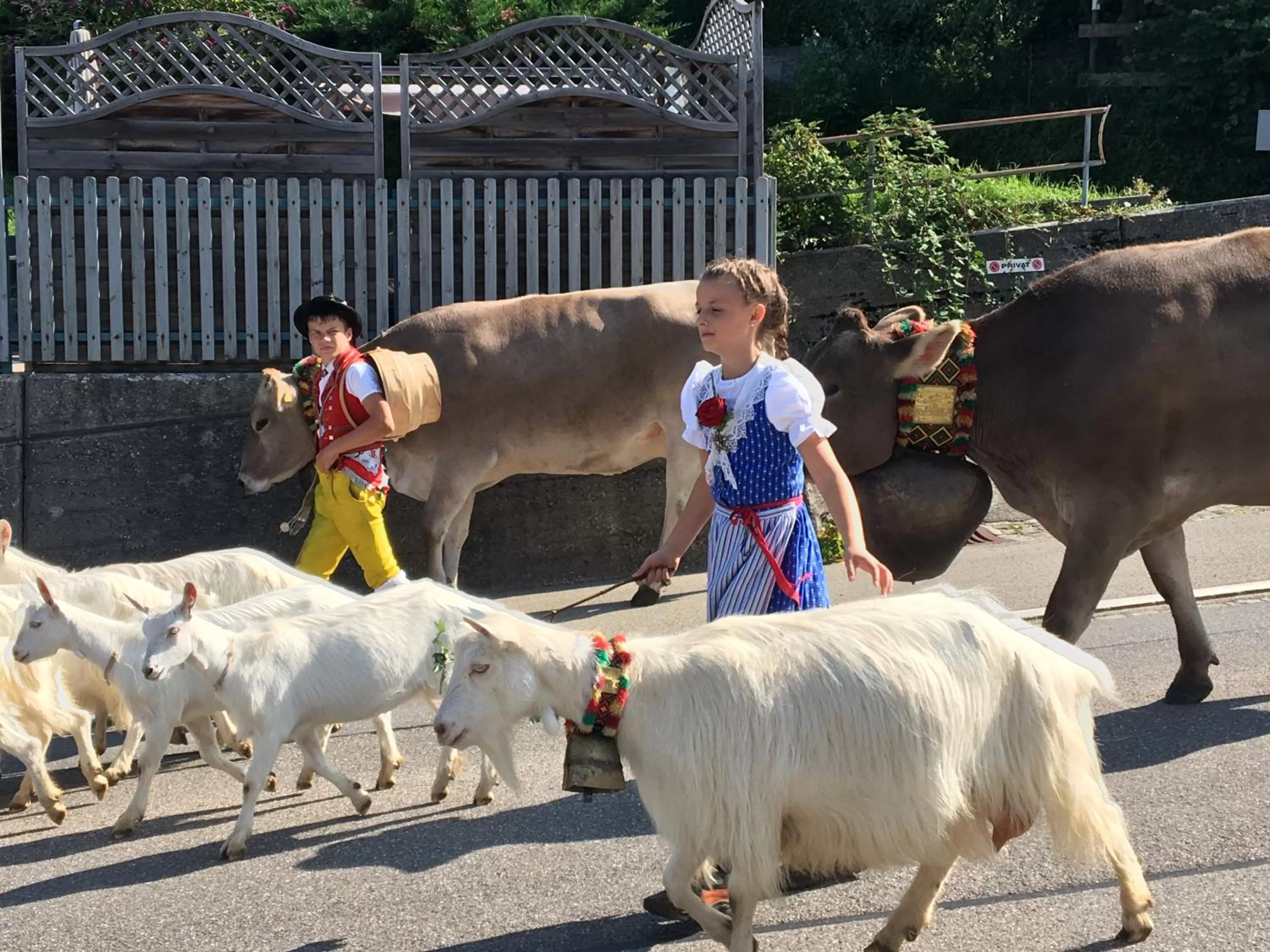 Activities in BnB-Blomberg