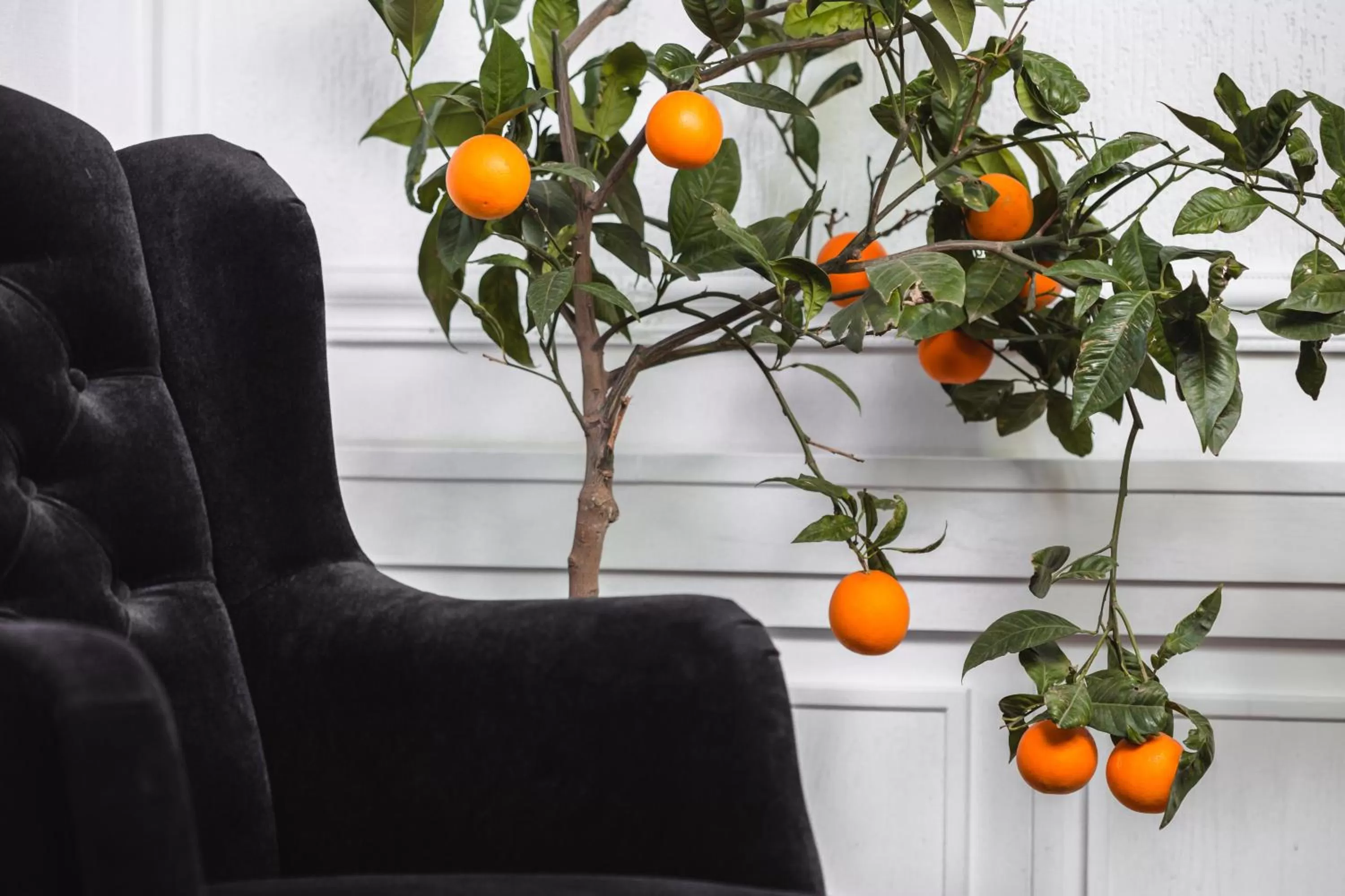 Lobby or reception in Matejki 8