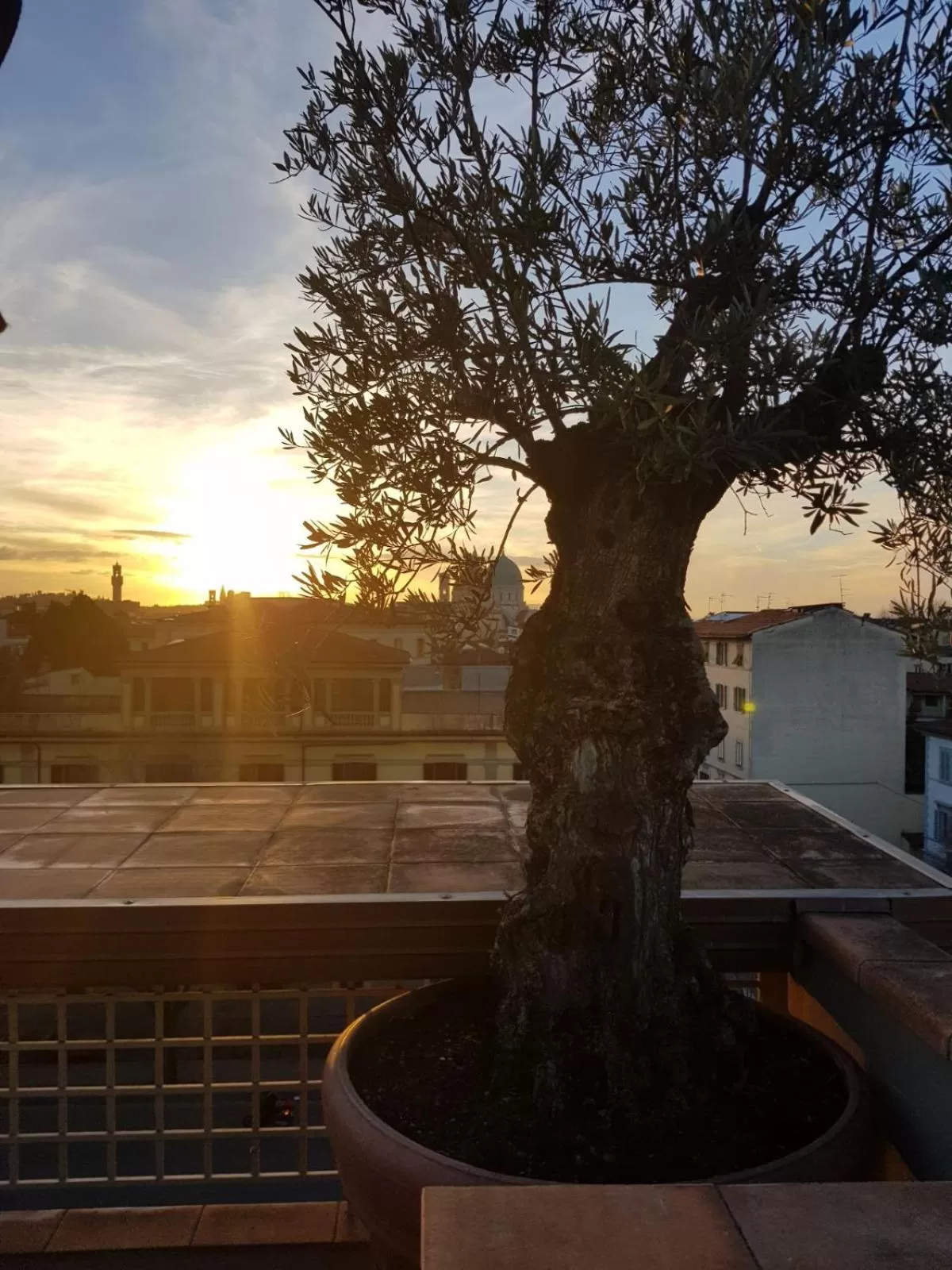 Balcony/Terrace in Forte16 View & SPA