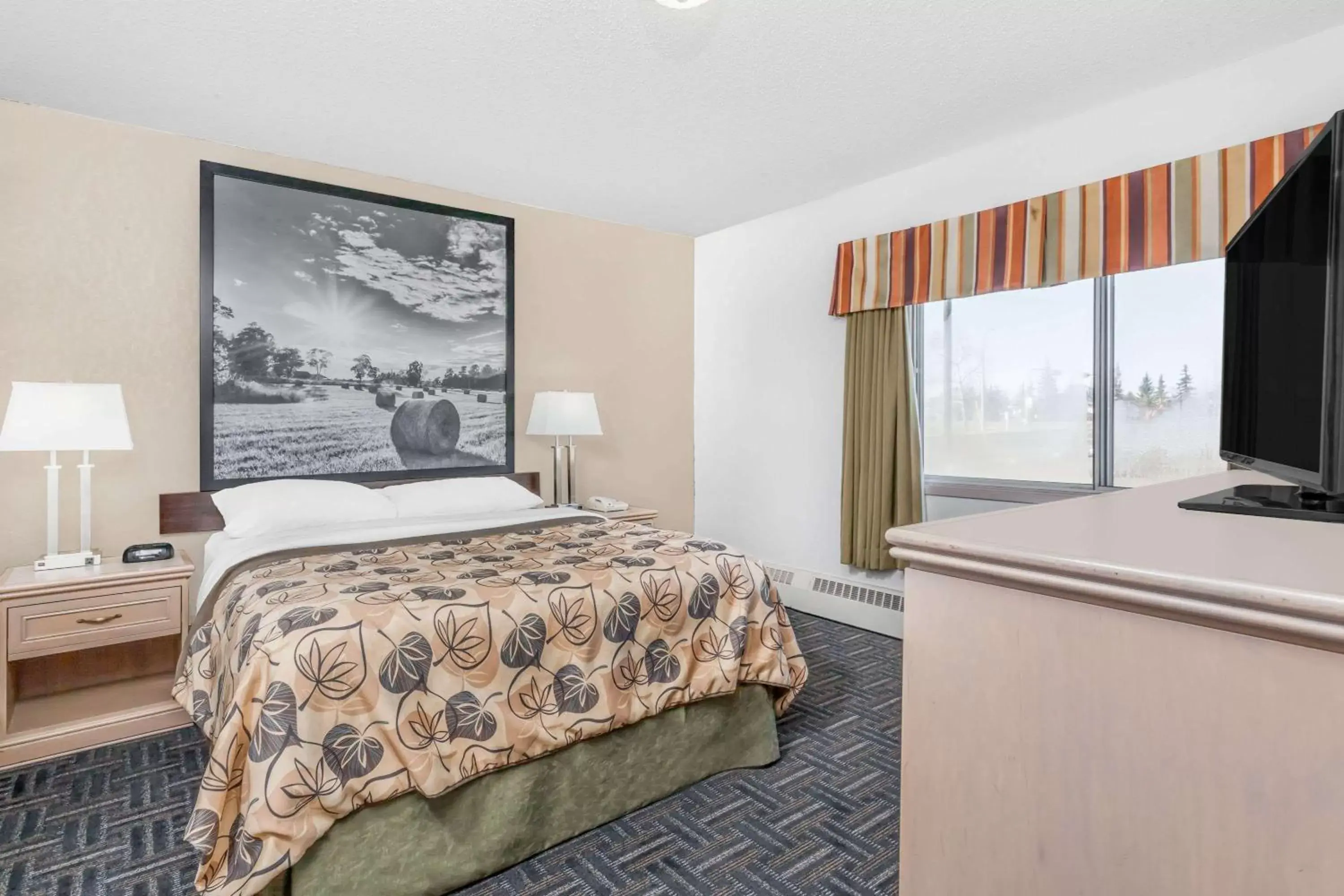 Queen Room - Disability Access/Non-Smoking in Super 8 by Wyndham Stettler Queen Room - Disability Access/Non-Smoking in Super 8 by Wyndham Stettler