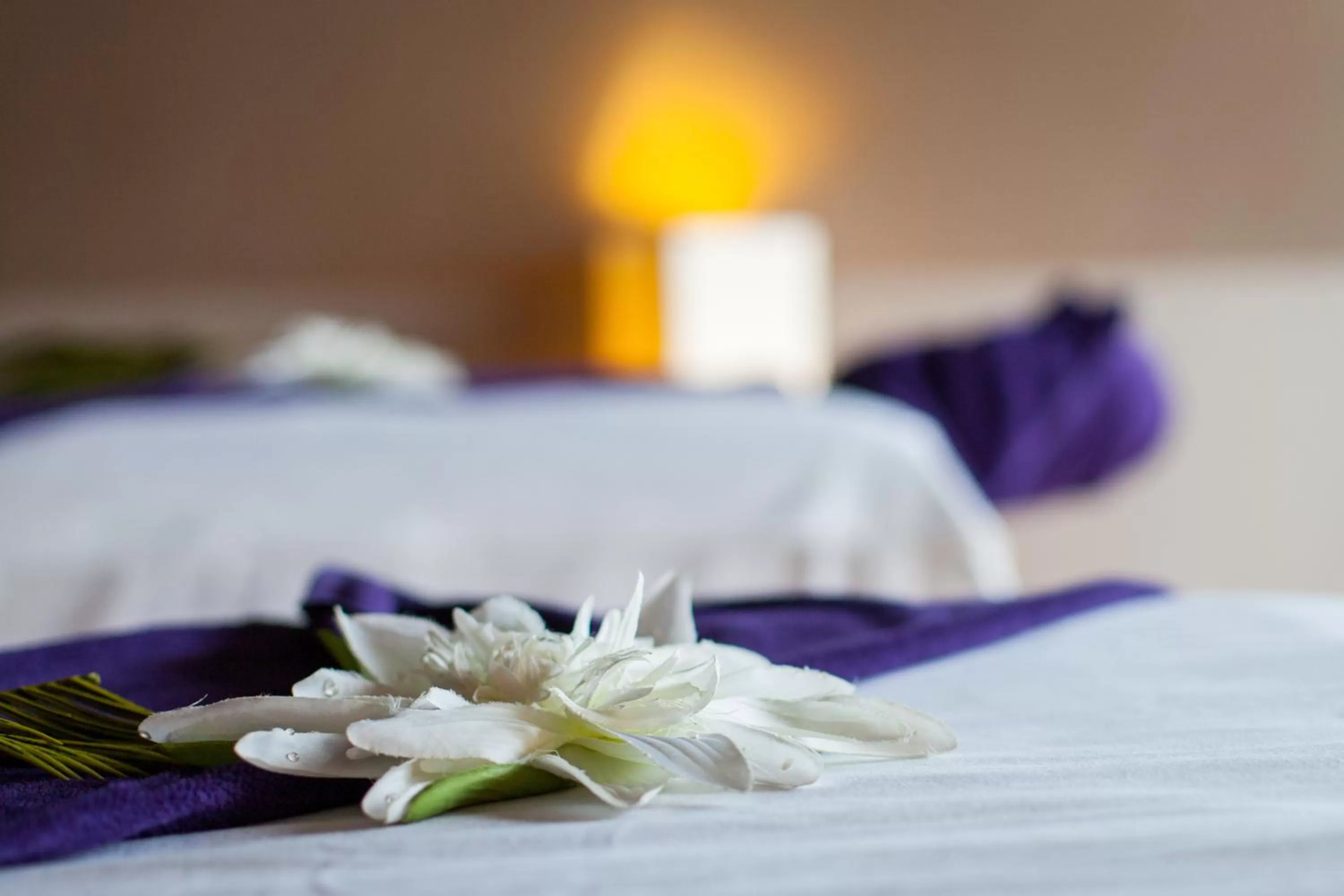 Massage, Bed in Domaine de Bellevue - Restaurant & Spa