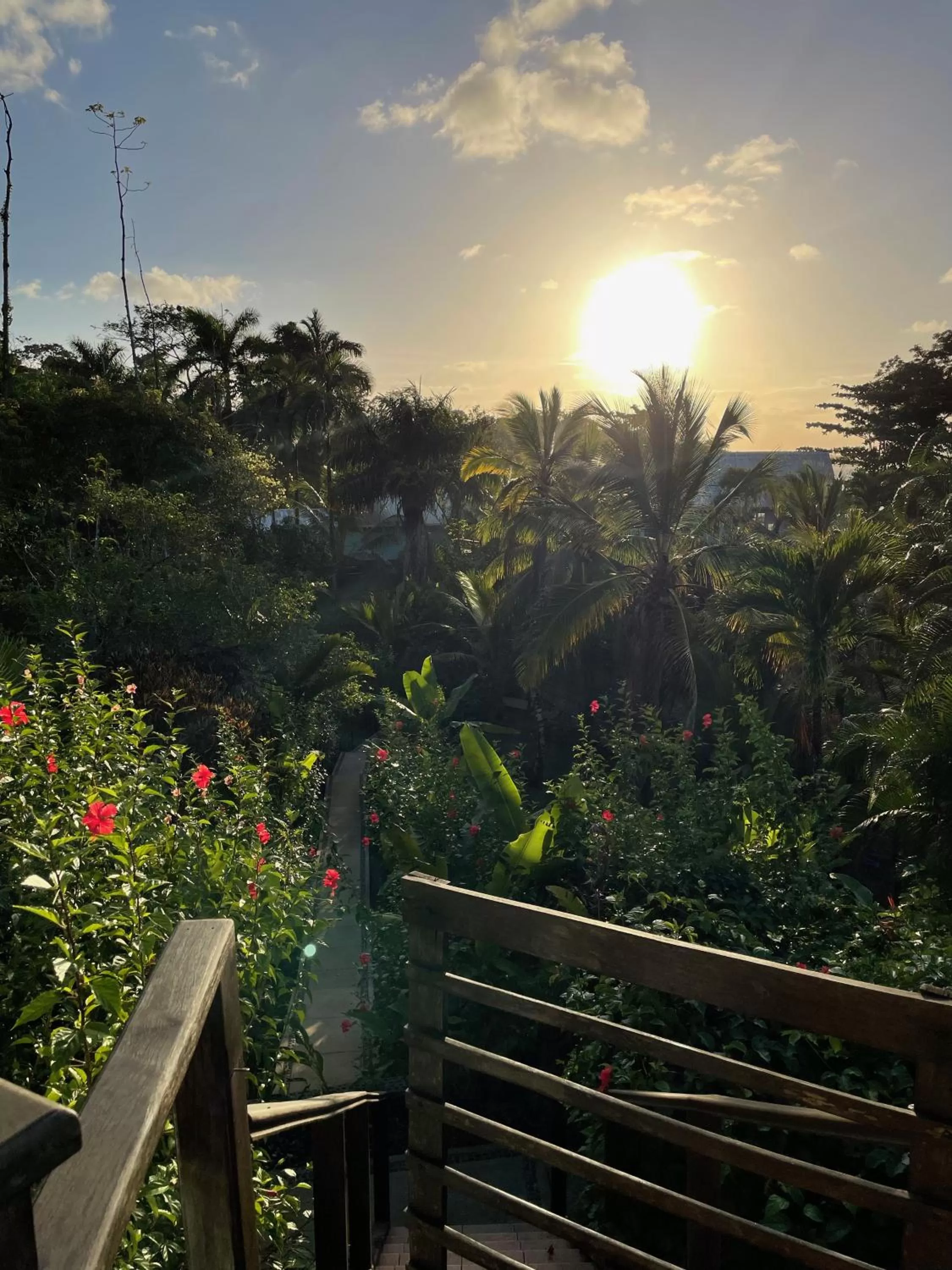 Garden in Bird Island Bungalows