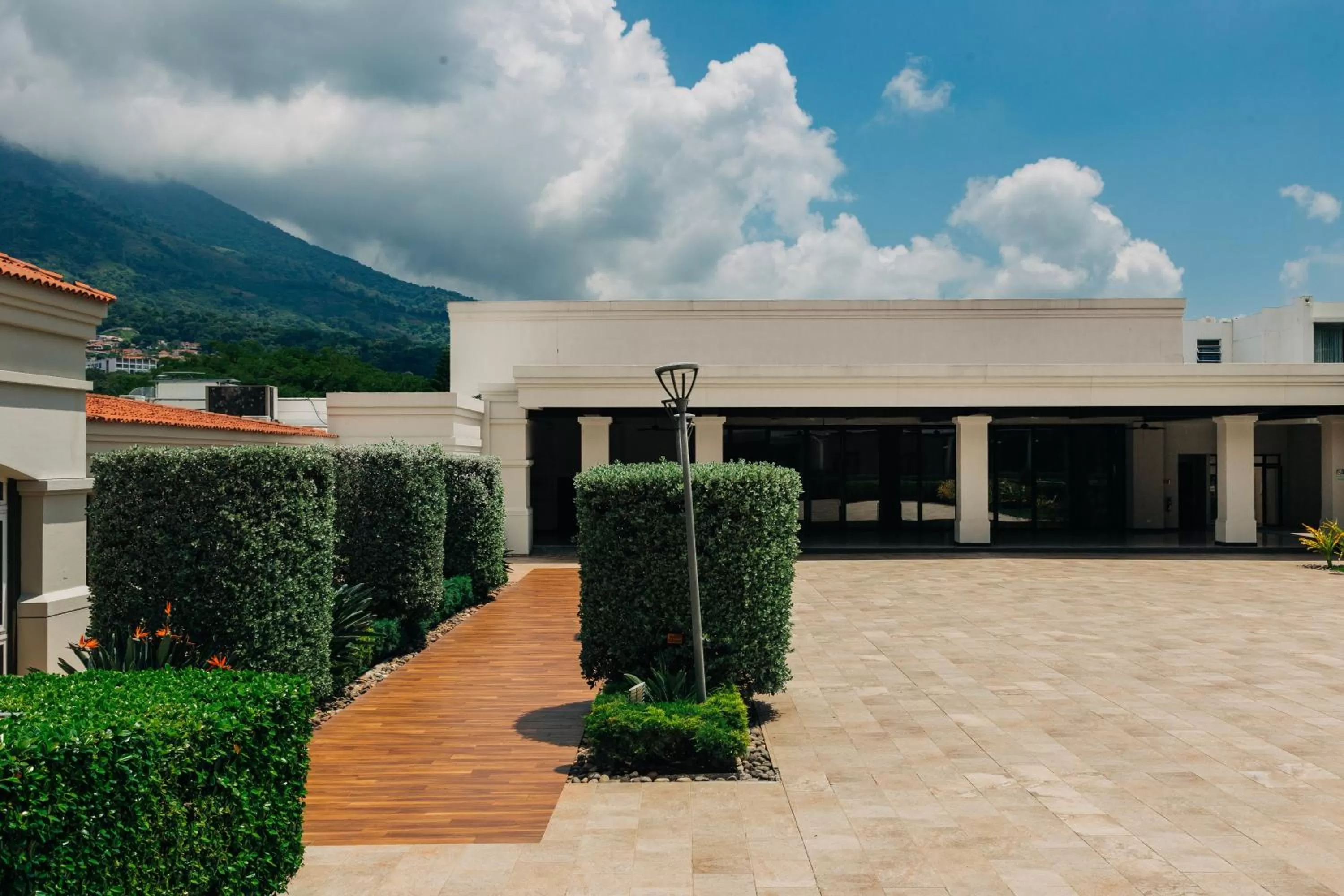 Natural landscape in Hilton San Salvador