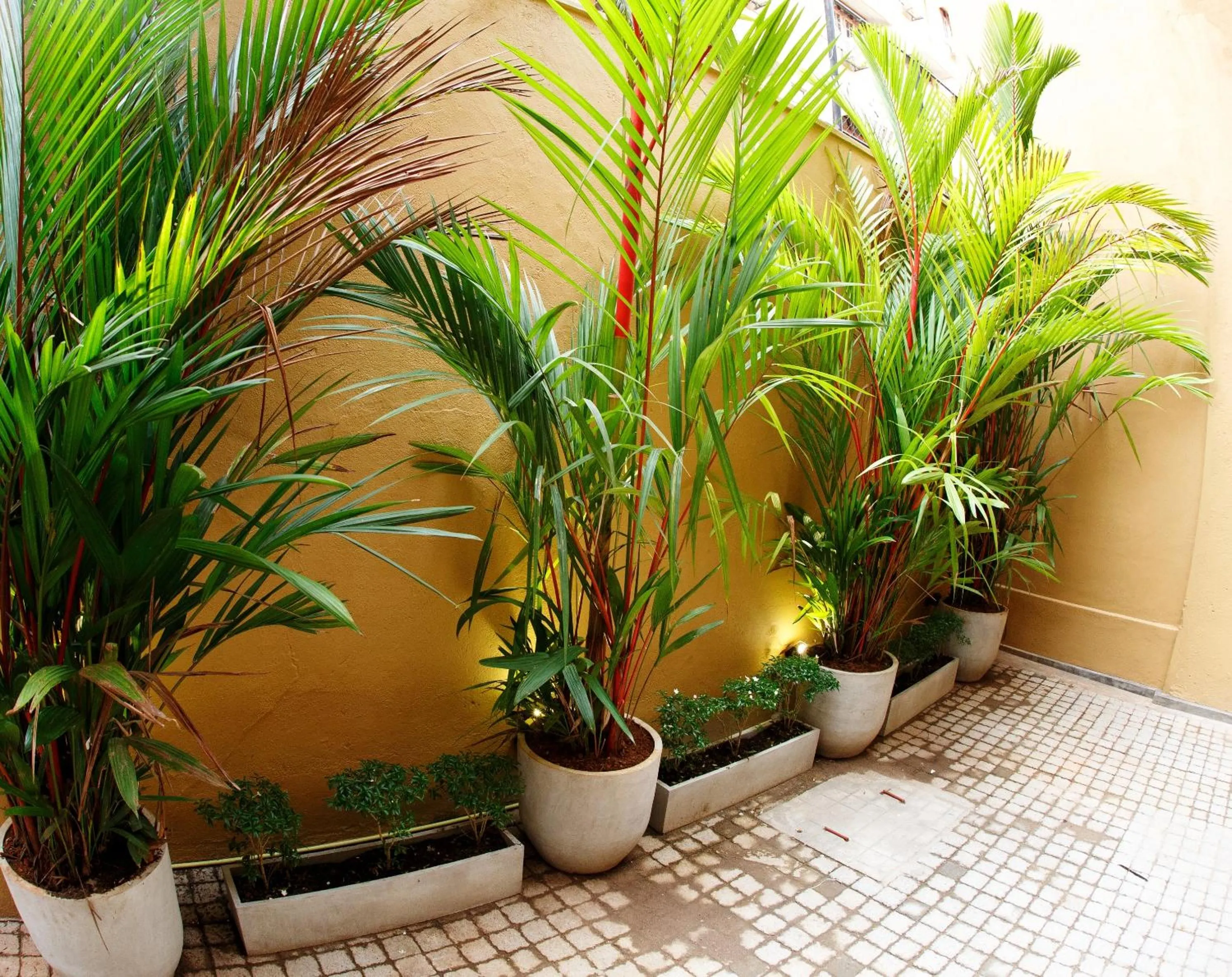 Garden in CityRest Fort