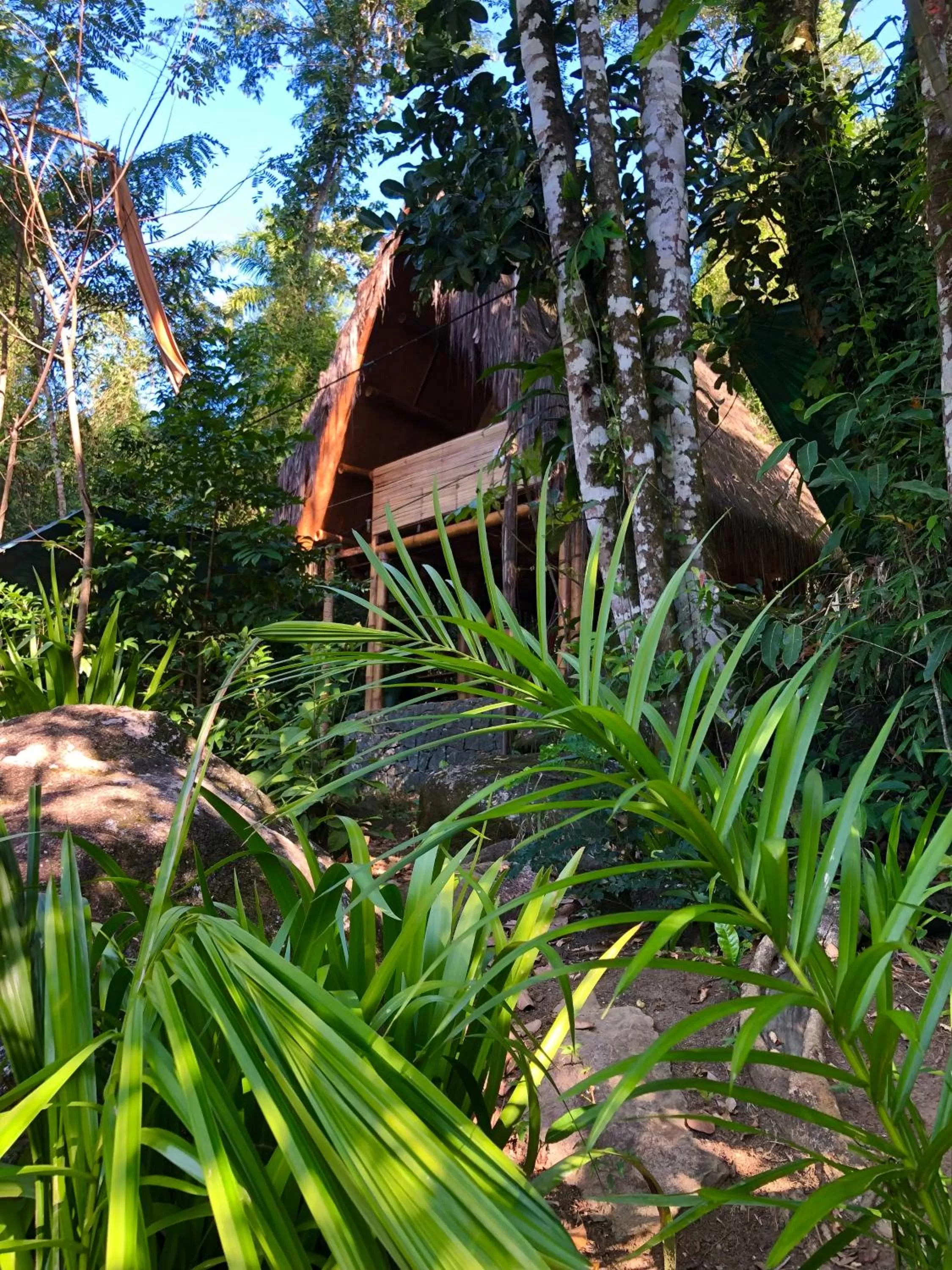 Garden in Sitio Simple Life