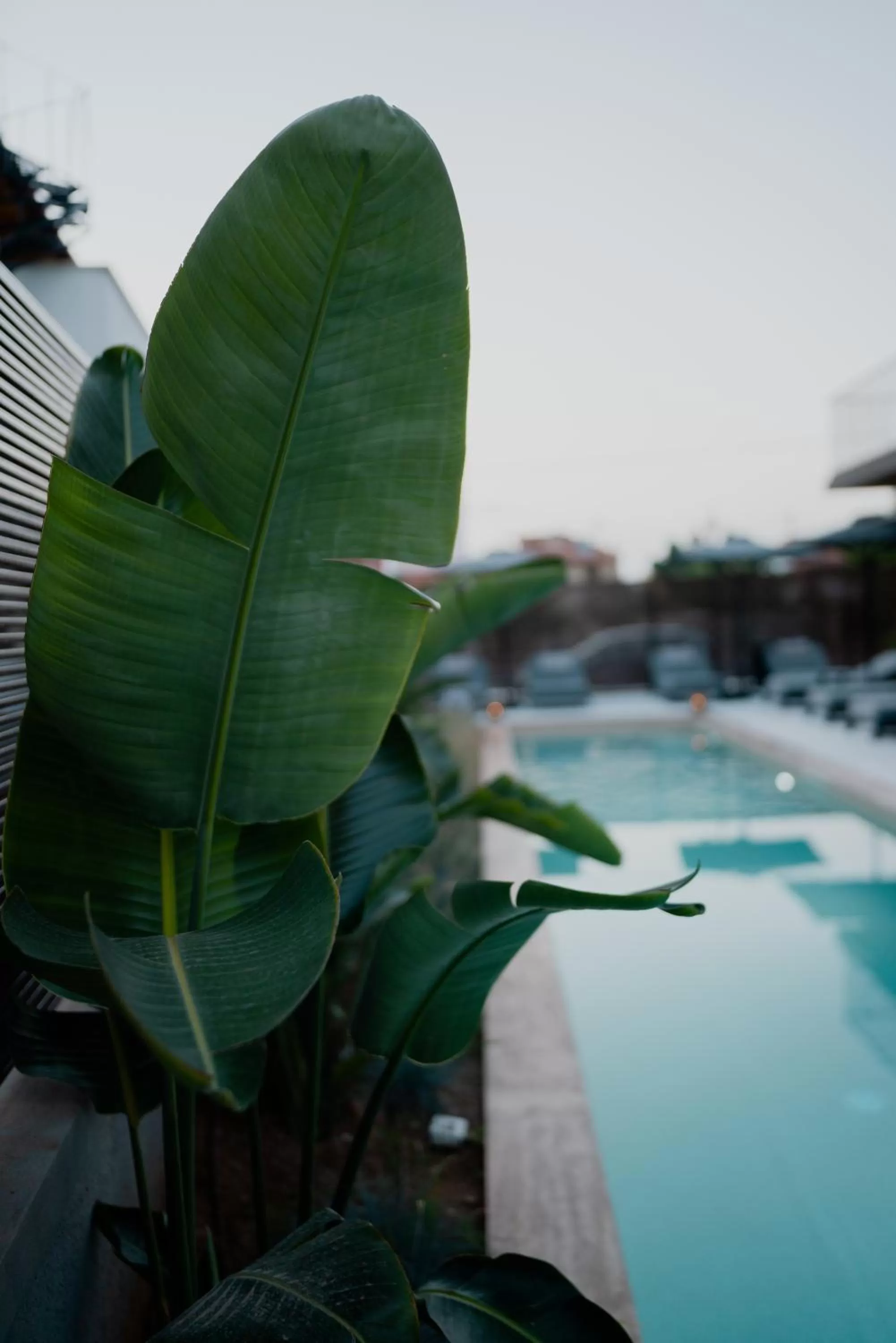Decorative detail in Capital Luxury Suites