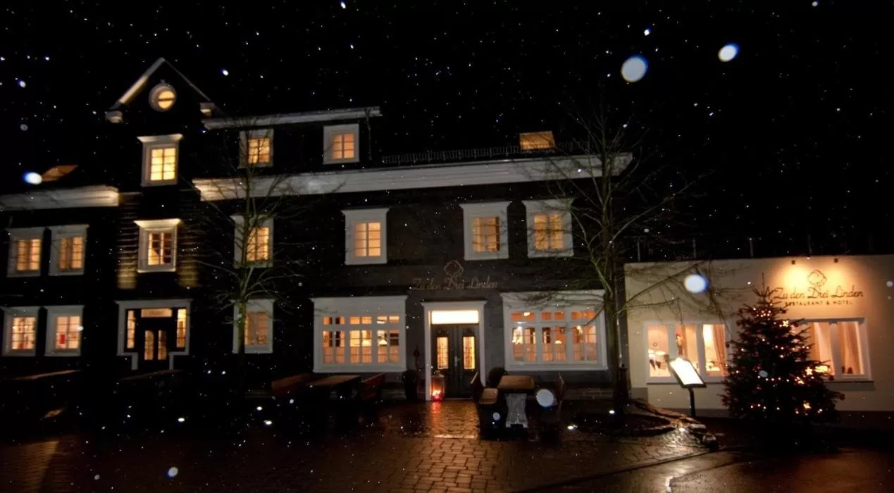 Facade/entrance in Zu den Drei Linden