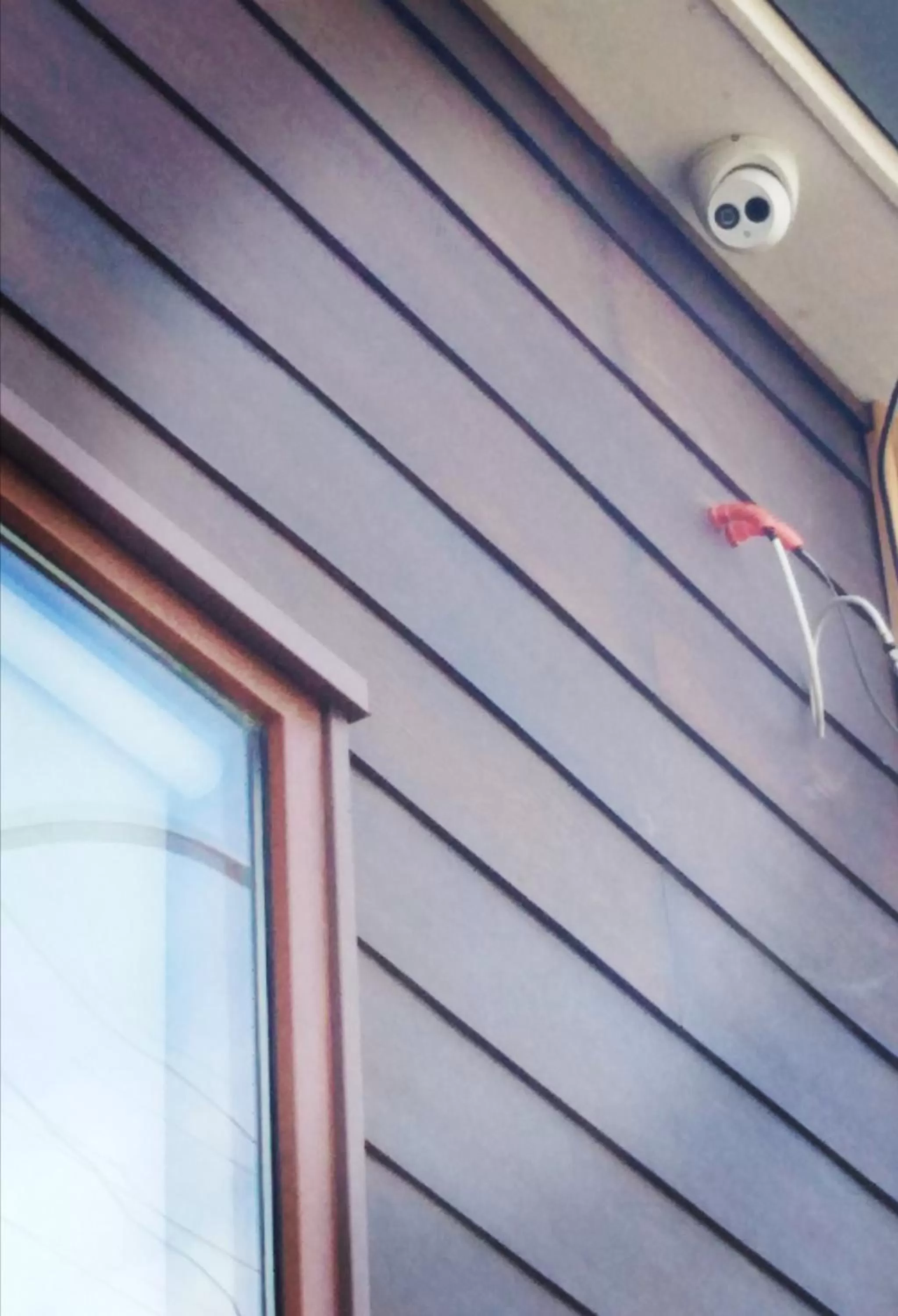 Business facilities in Hostal Buenavista Patagonia