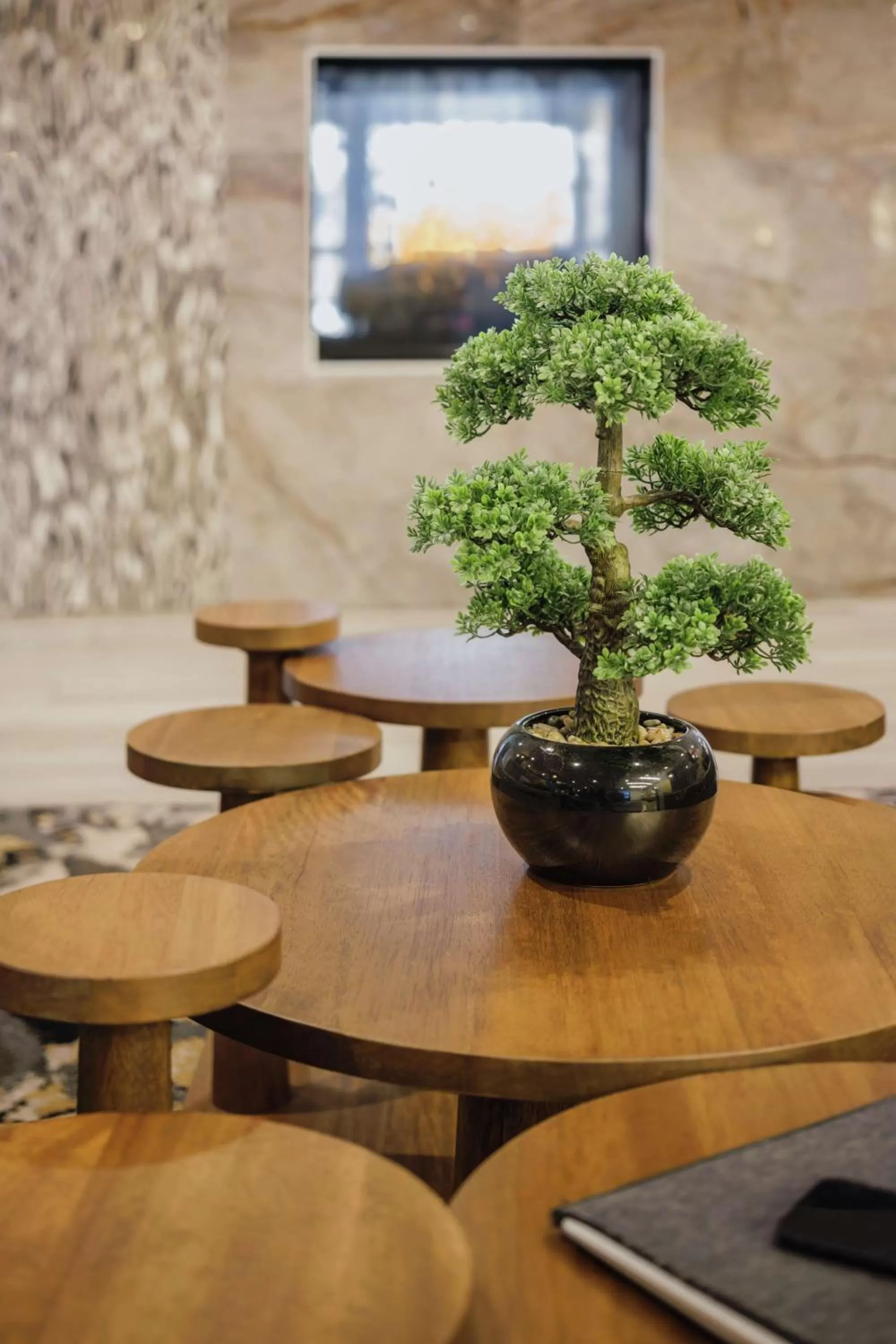 Lobby or reception in Hotel Trilogy Albany Airport, Tapestry Collection by Hilton