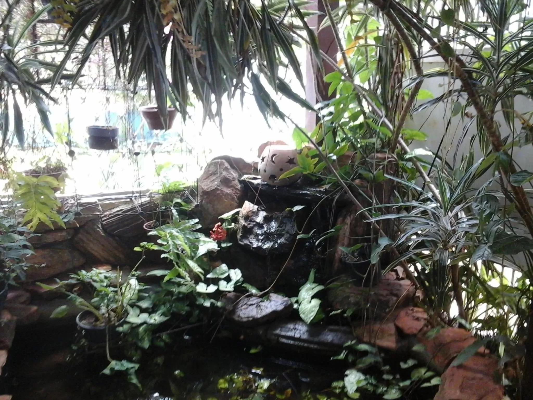 Natural landscape in KzaZendf Cama e Cafe Asa Sul