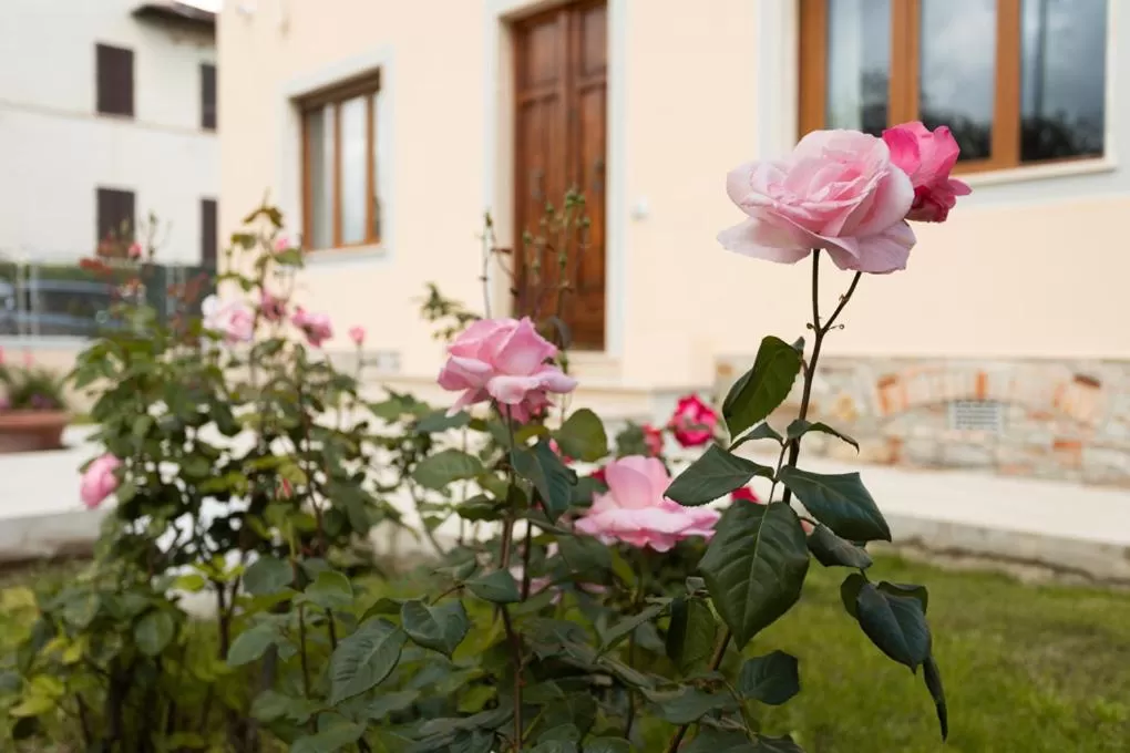 Garden in Villa Rosa Antica