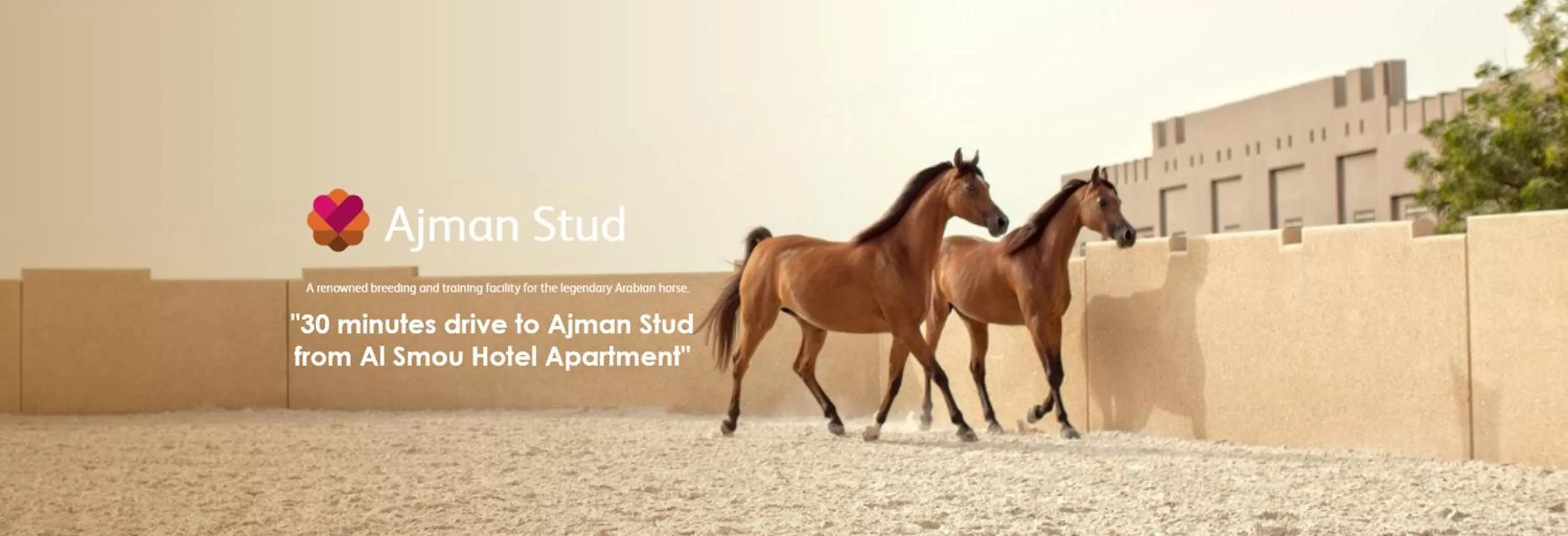 Nearby landmark in Al Smou Hotel Apartments - MAHA HOSPITALITY GROUP