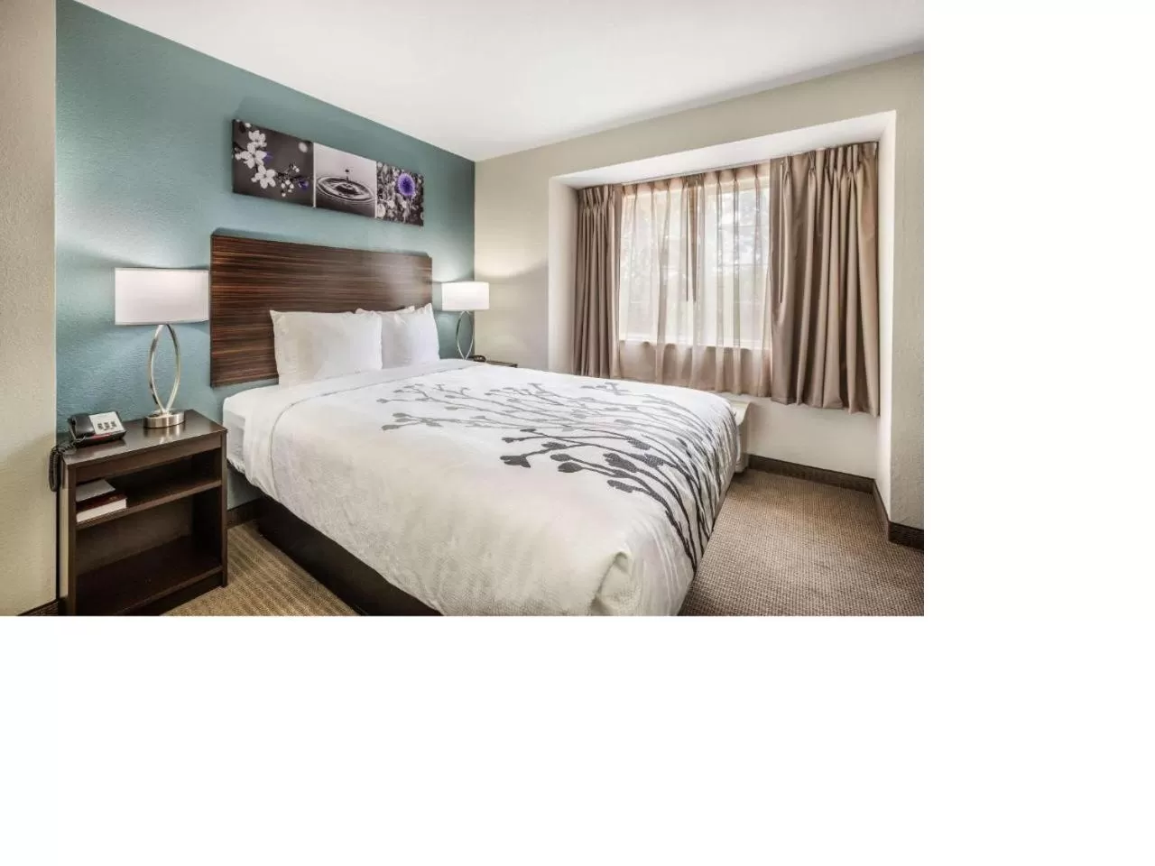 Bed in Sleep Inn & Suites Tallahassee-Capitol