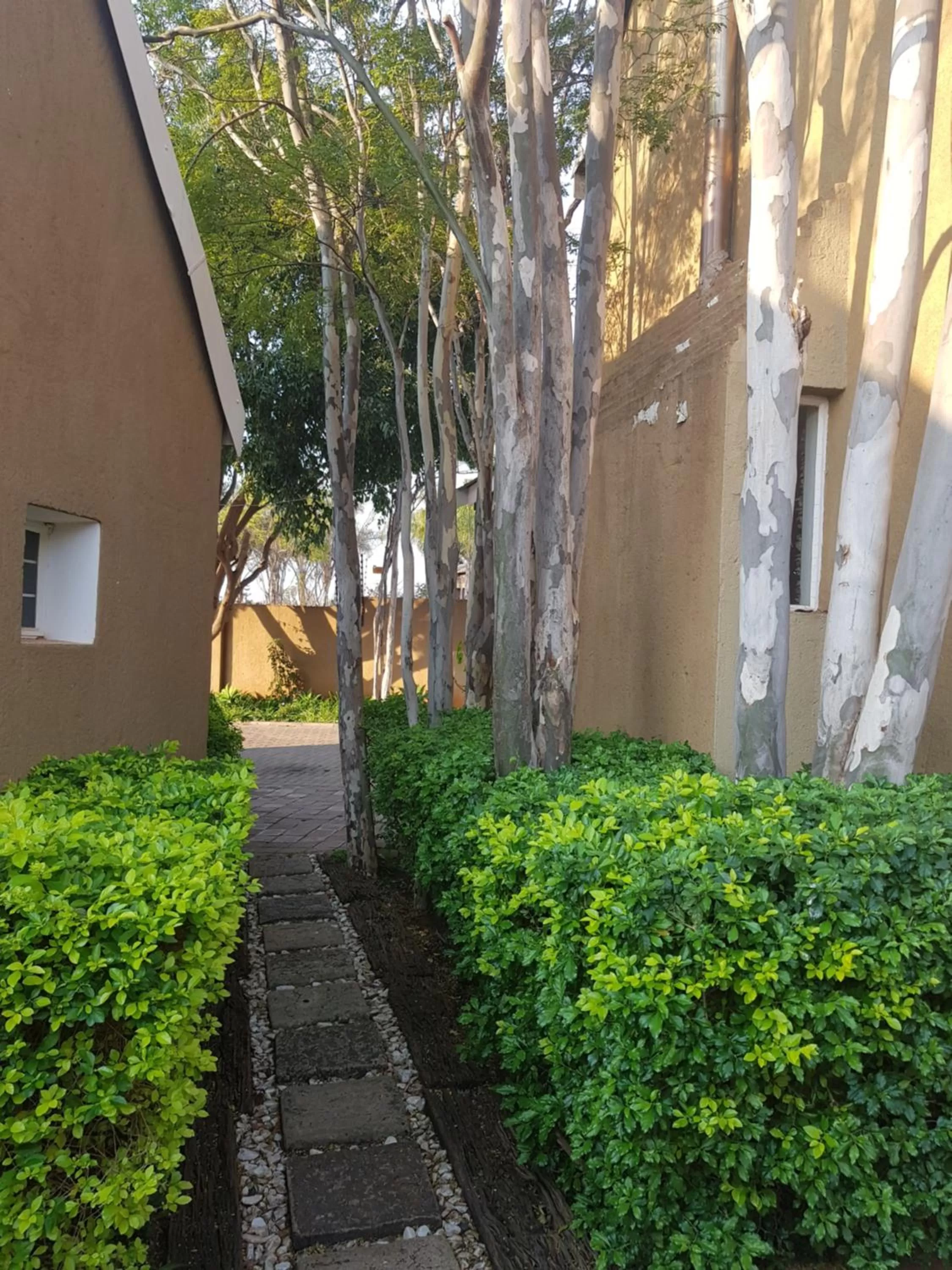 Garden, Property Building in The Leopard Tree