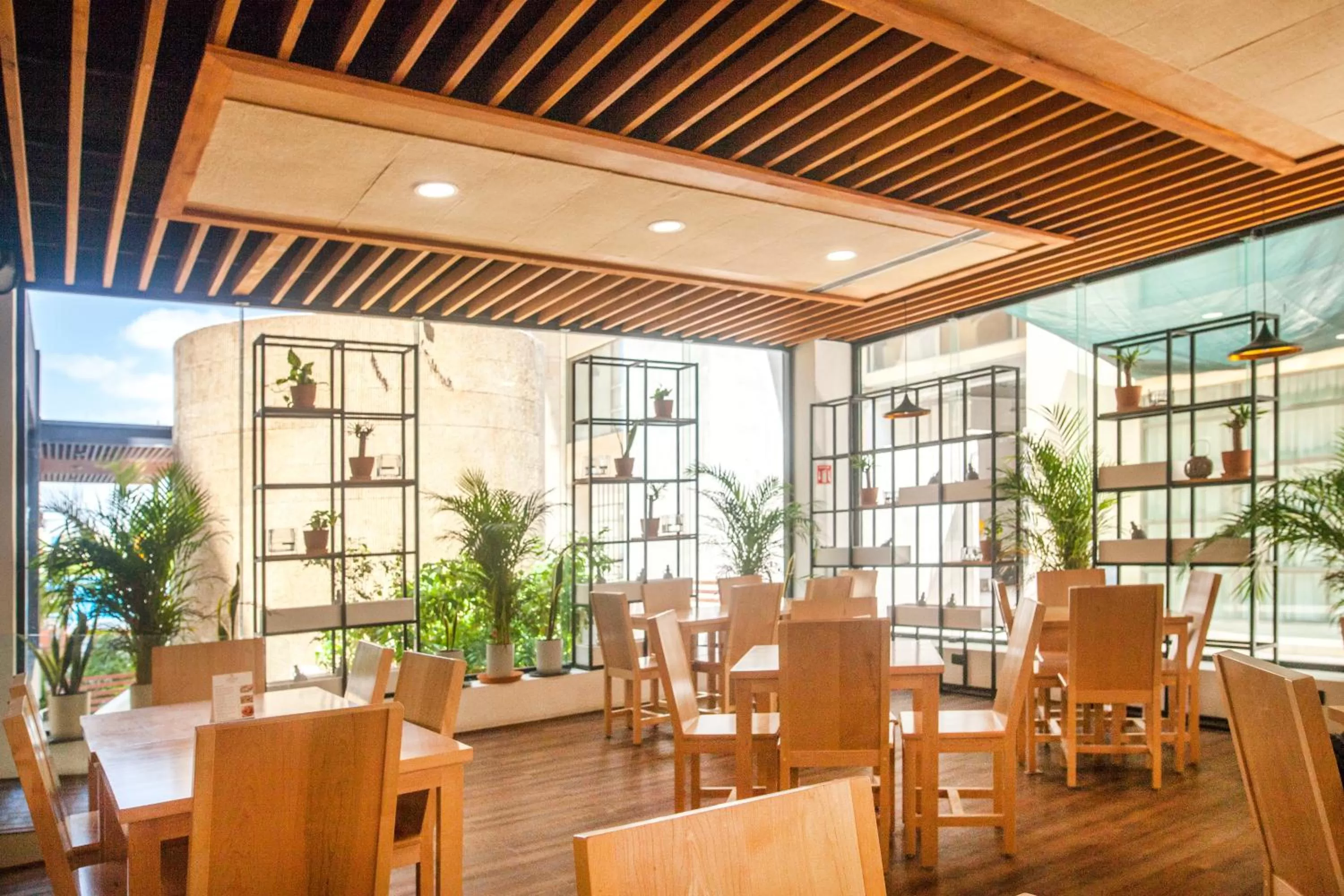 Restaurant/places to eat in Wyndham Garden Cancun Downtown