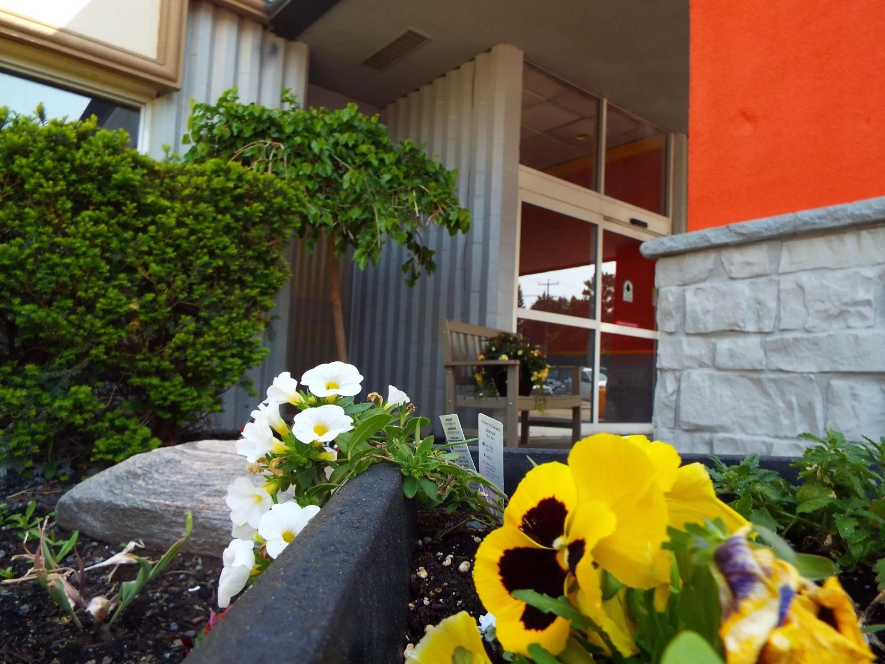 Garden in Quality Inn