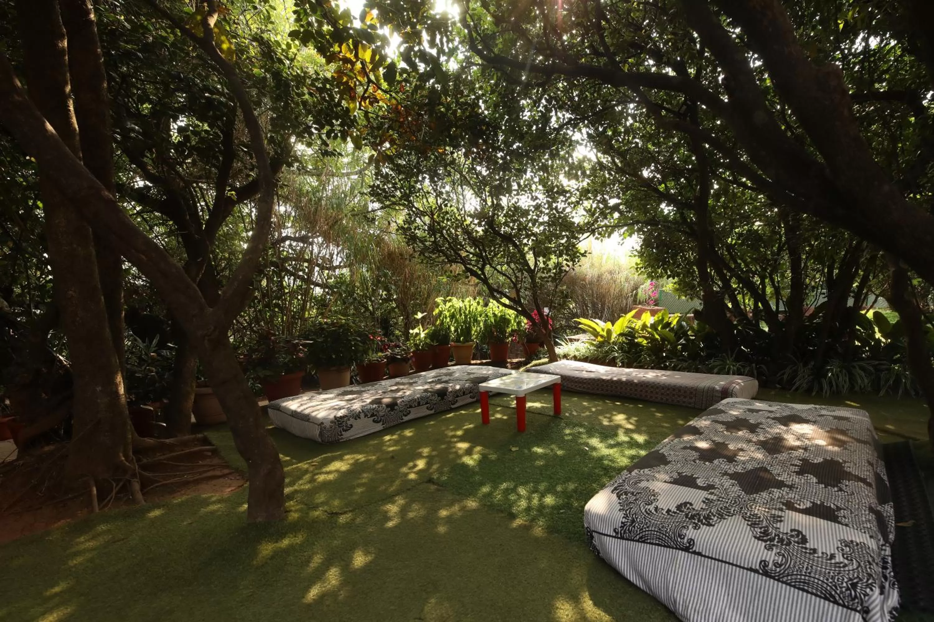 Activities in Bella Vista Mahabaleshwar