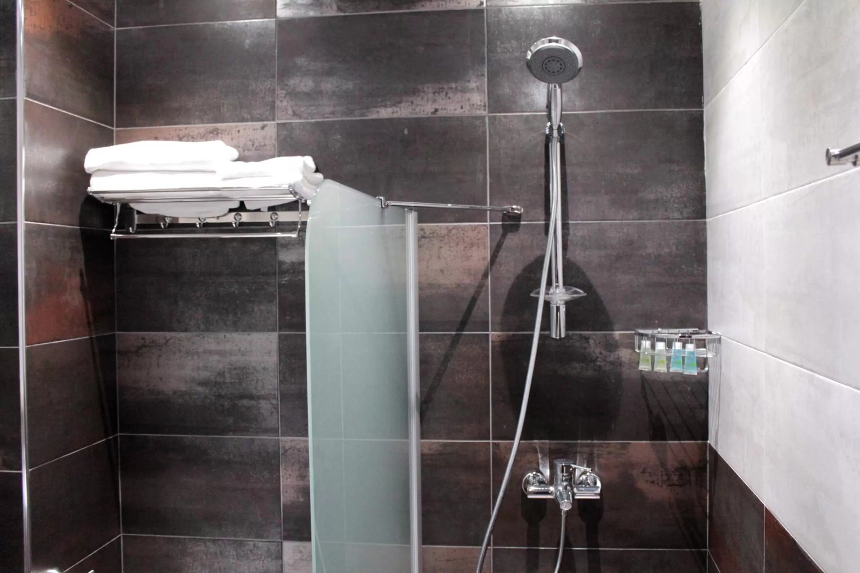 Shower, Bathroom in Royal Venezia Hotel