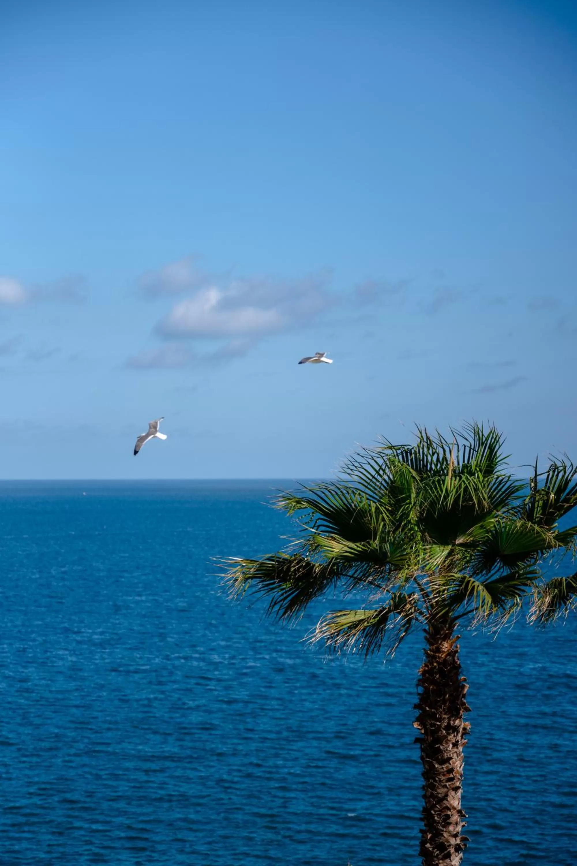 Sea view in Excelsior Palace Portofino Coast