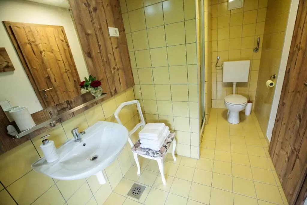 Bathroom in Hiša Poljana