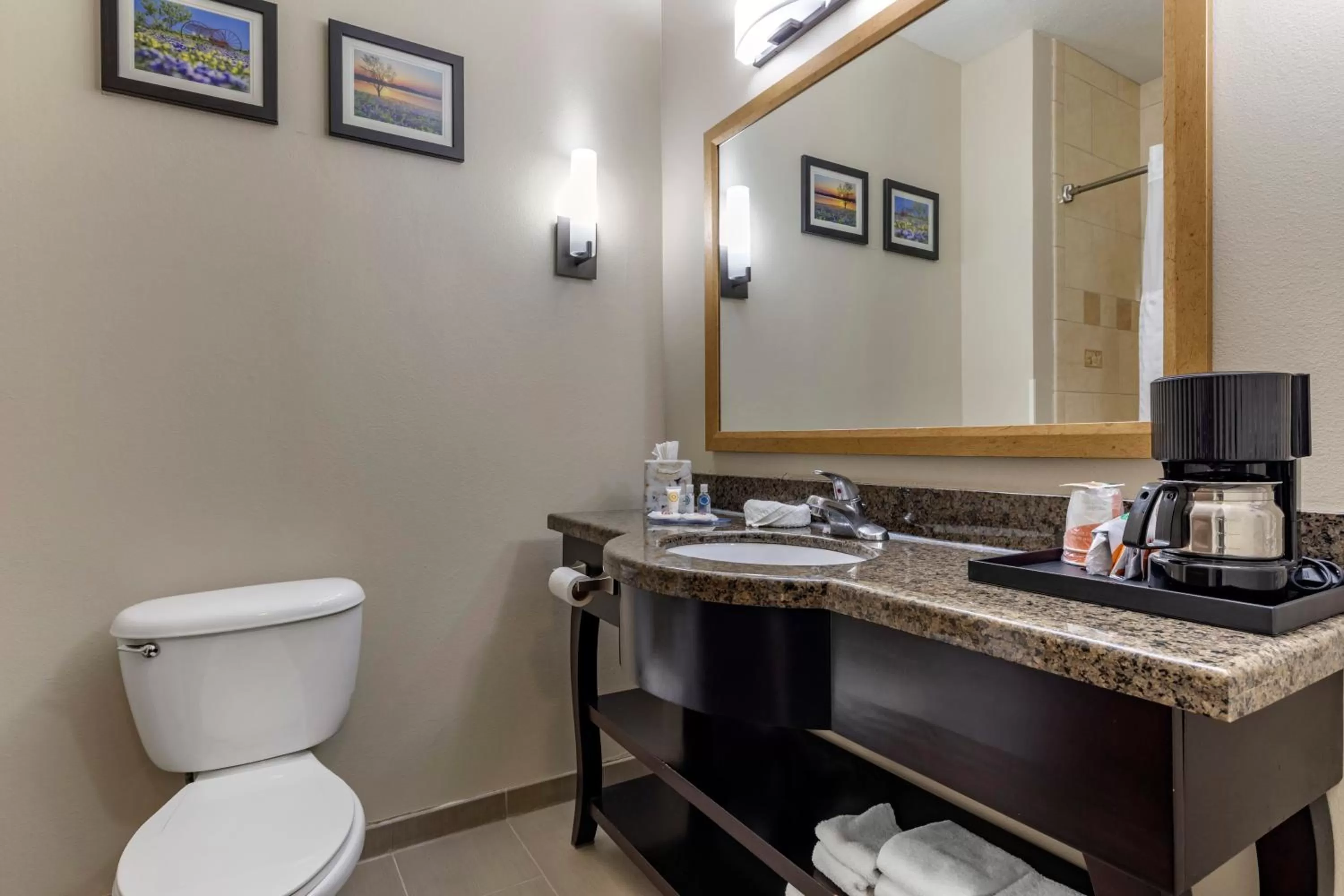 Bathroom in Comfort Inn & Suites Fort Worth West I-30 NAS JRB